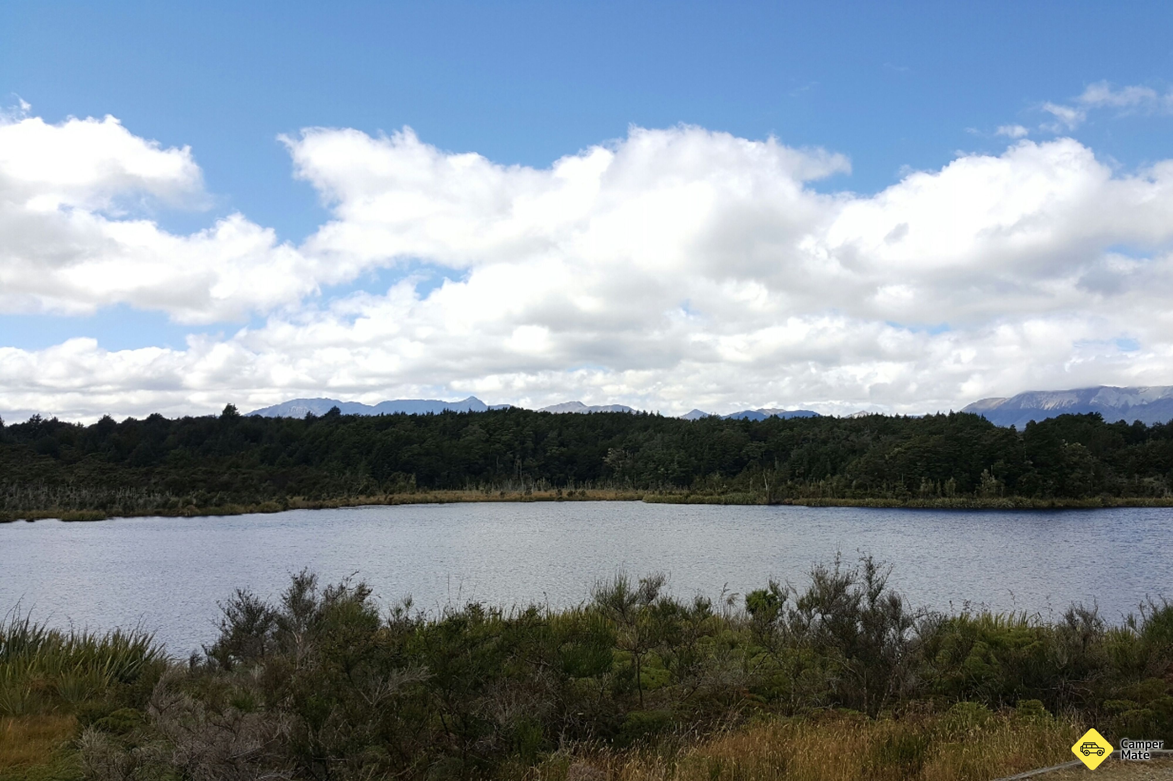 Lake Mistletoe Walk