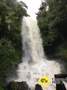 Bảng giá Vivian Falls Walk