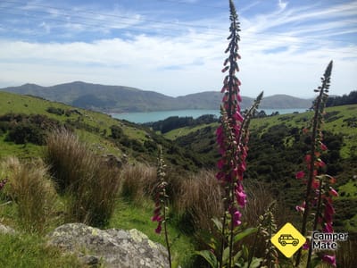Mt Herbert Walk
