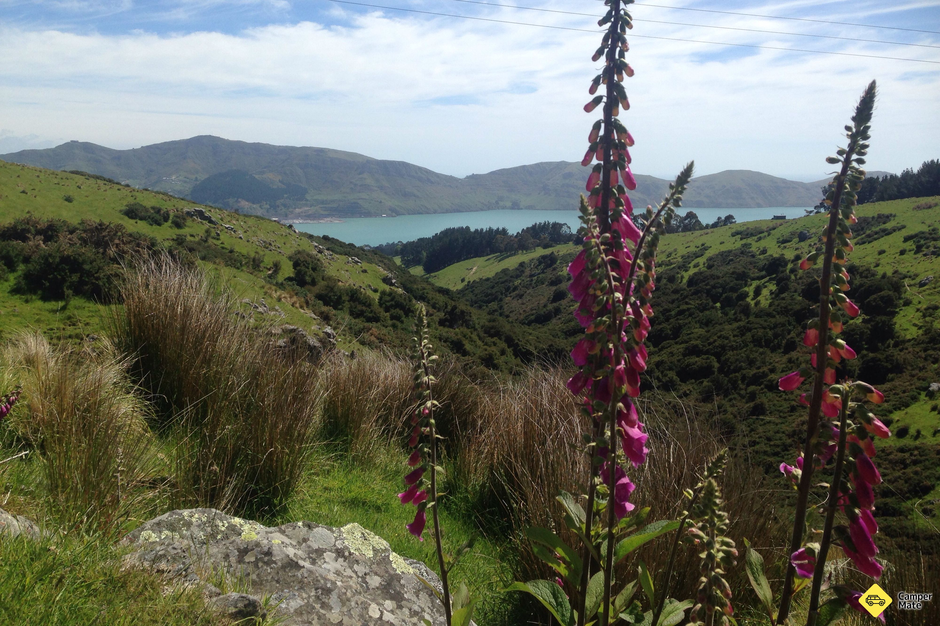 Mt Herbert Walk