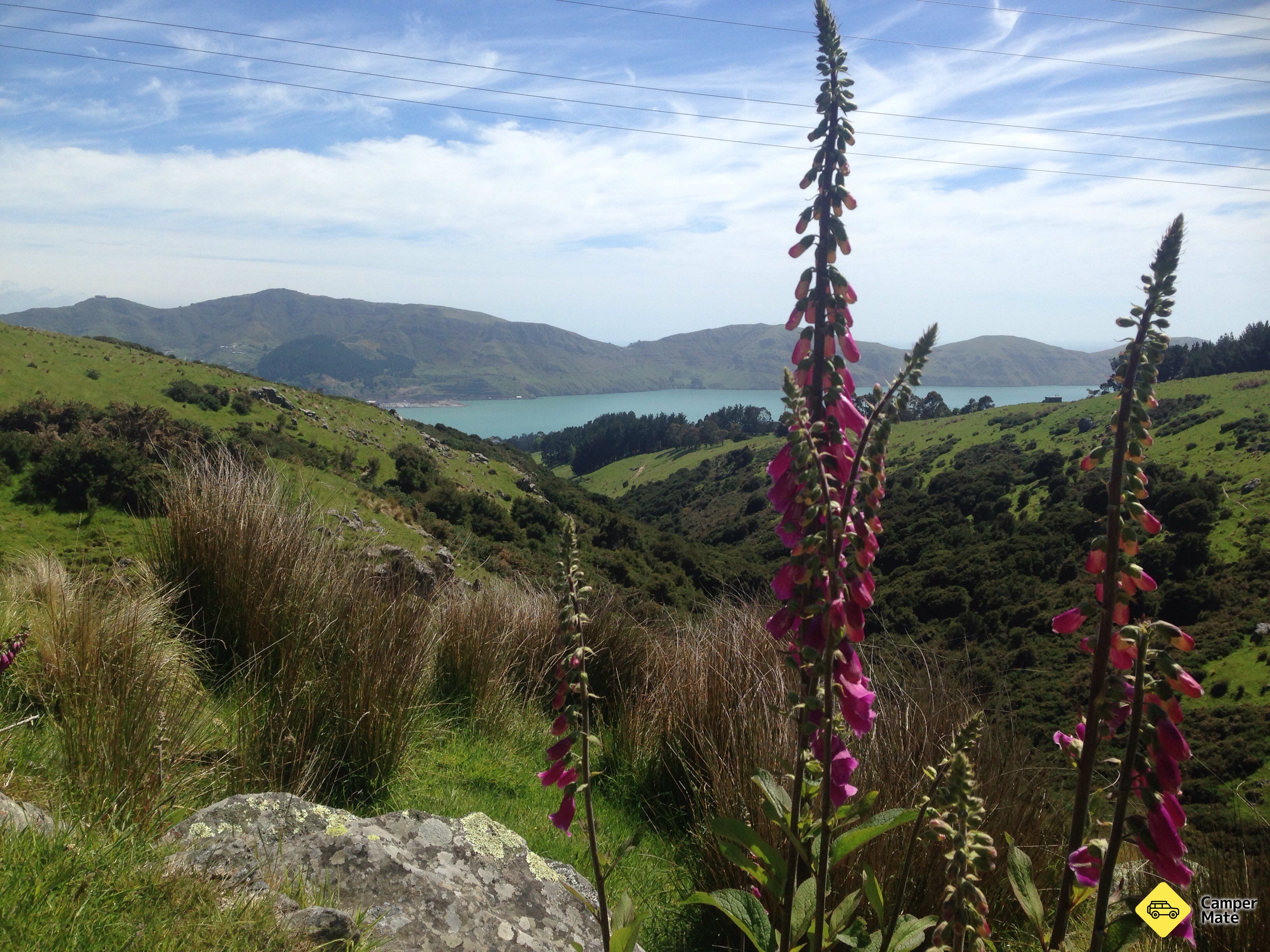 Mt Herbert Walk