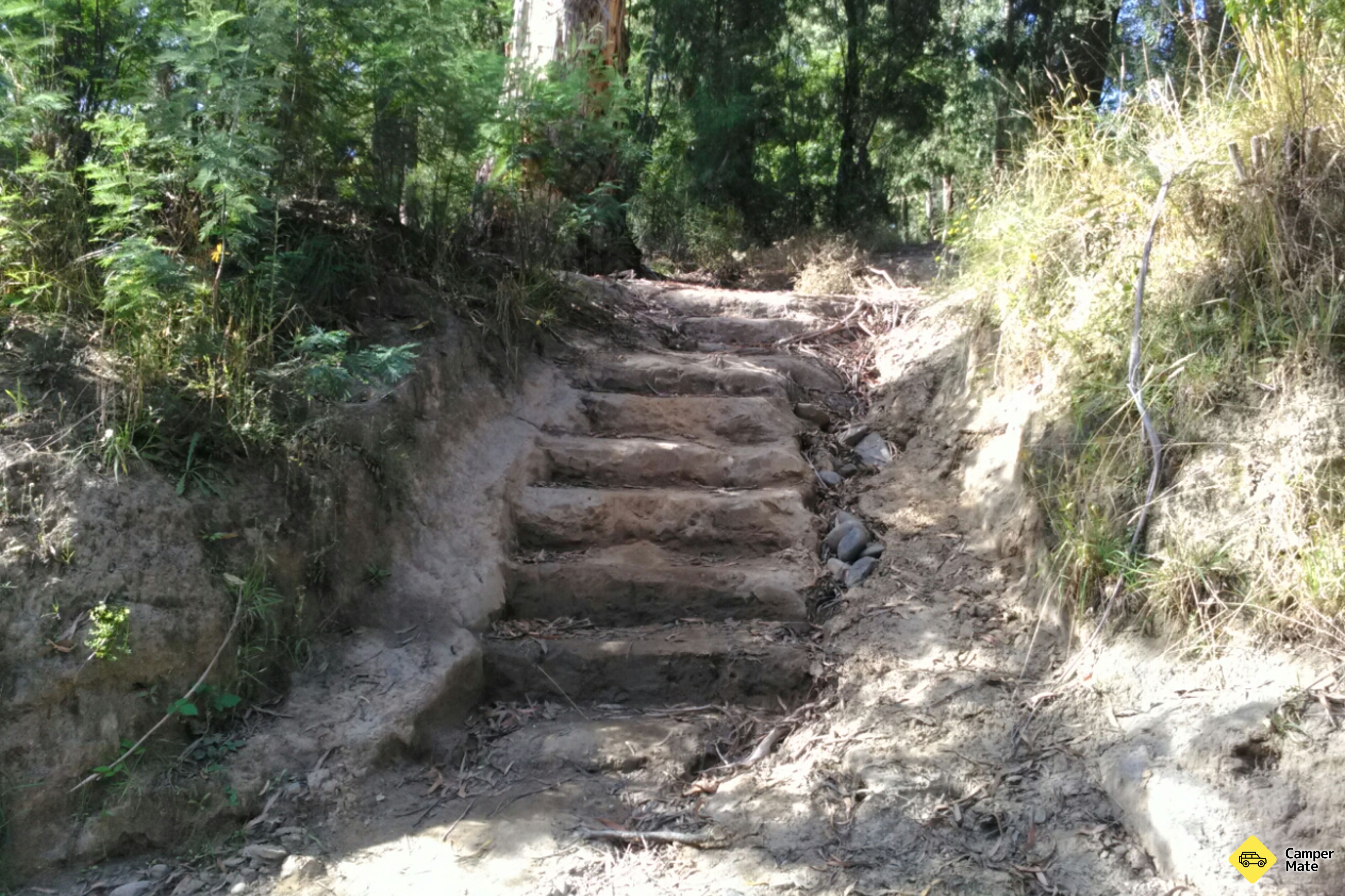 Burnt Bridge Camp Area - Lower Big River - Image 3