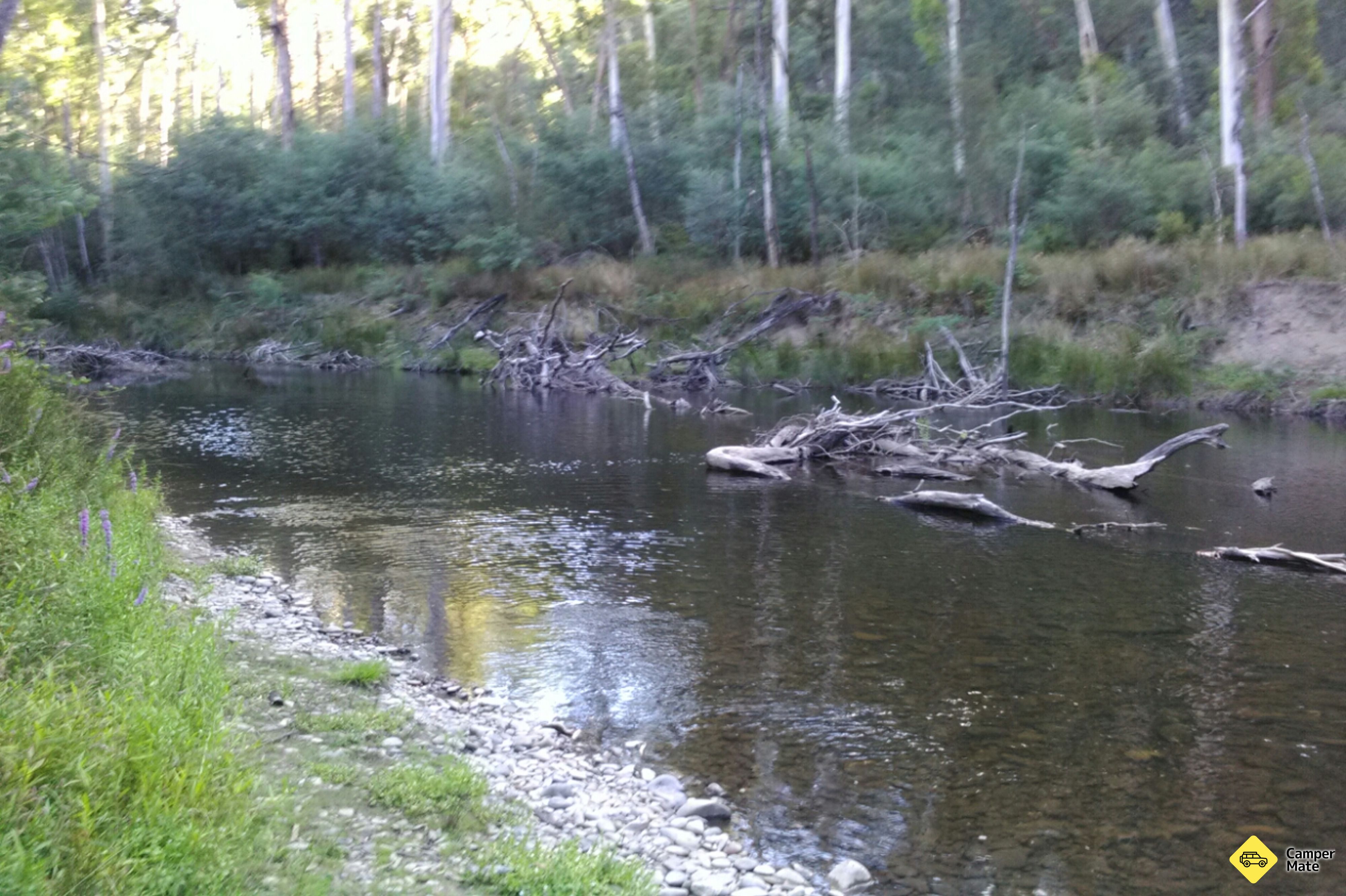 Burnt Bridge Camp Area - Lower Big River - Image 2