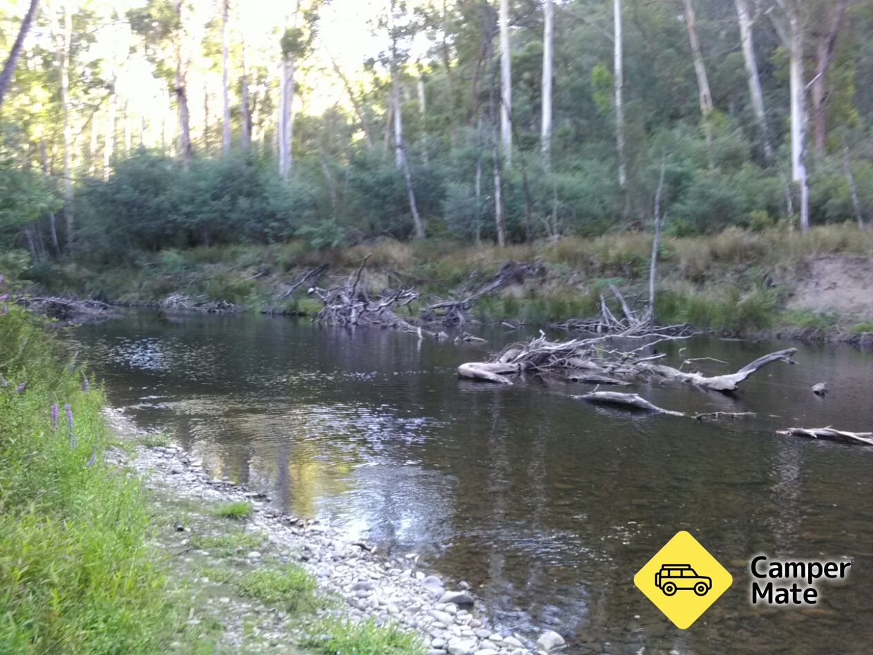 Burnt Bridge Camp Area - Lower Big River - Image 2