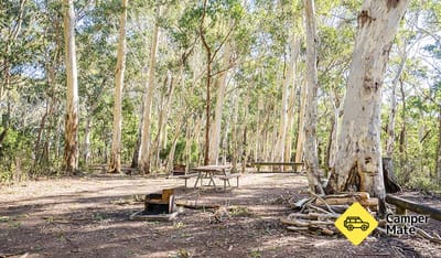 Dawsons Spring Campground 근처 오락거리