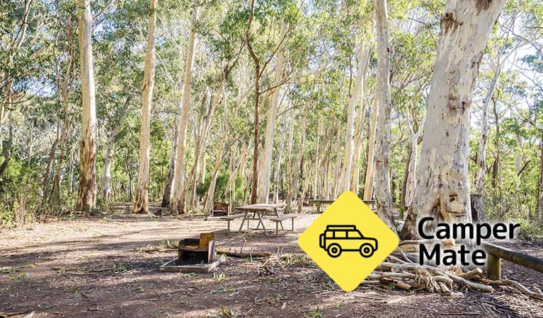 Dawsons Spring Campground 근처 오락거리