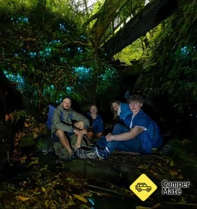 Auckland Glowworm Tour