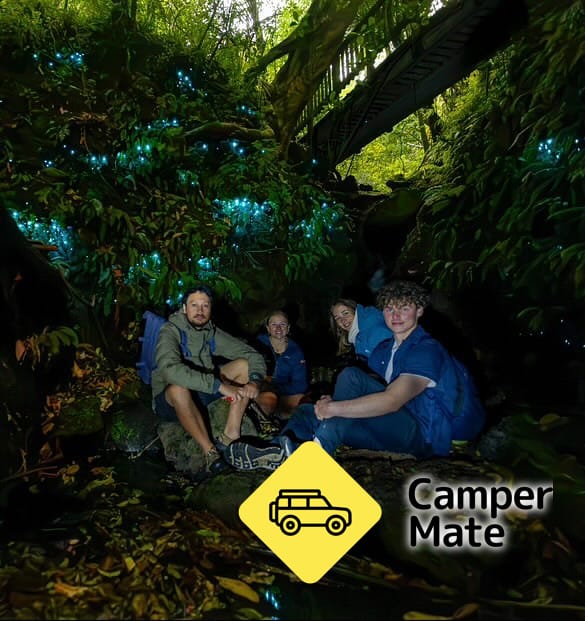 Auckland Glowworm Tour