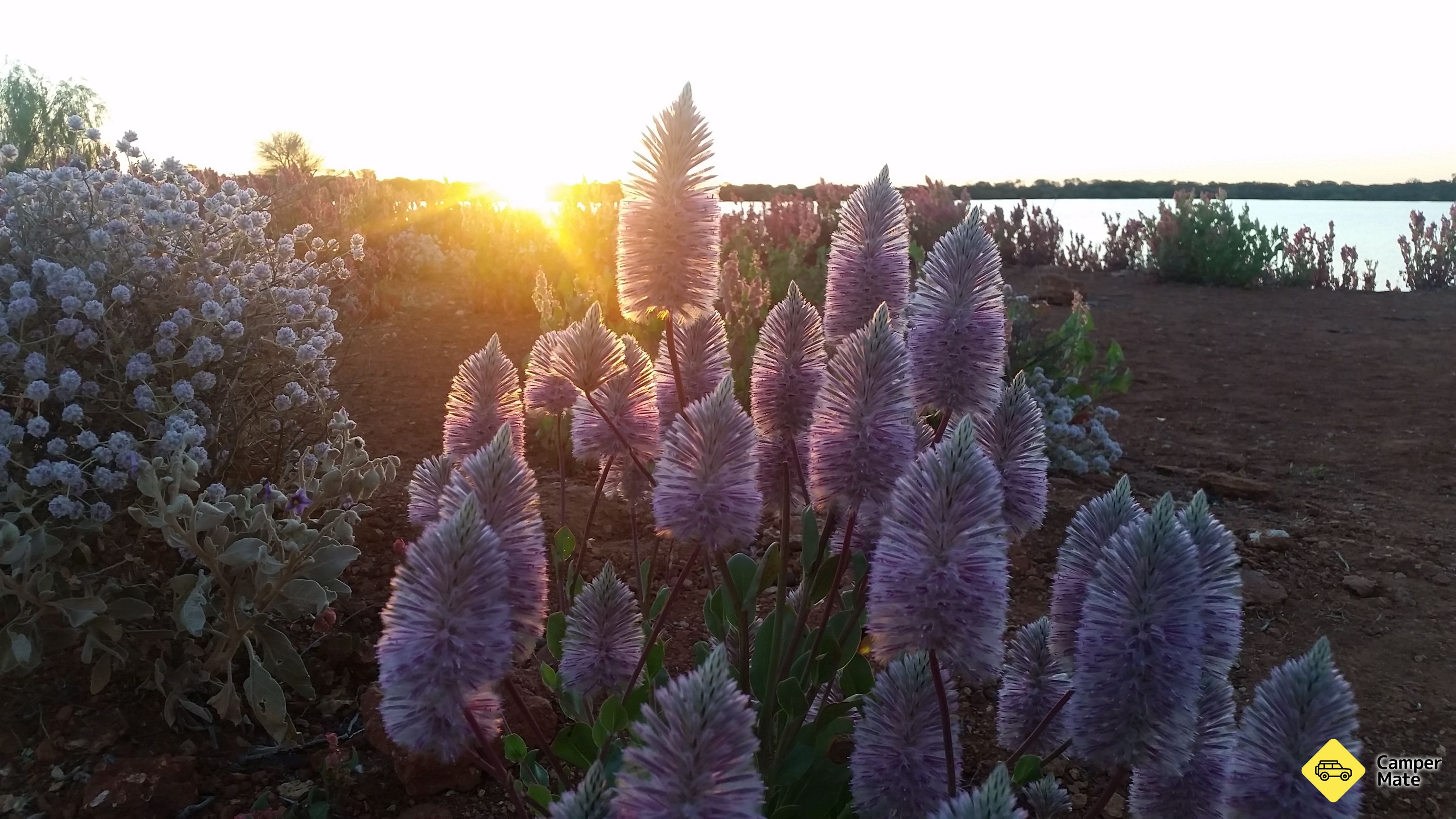 Lake Nallan Nature Reserve(ナラン湖自然保護区)