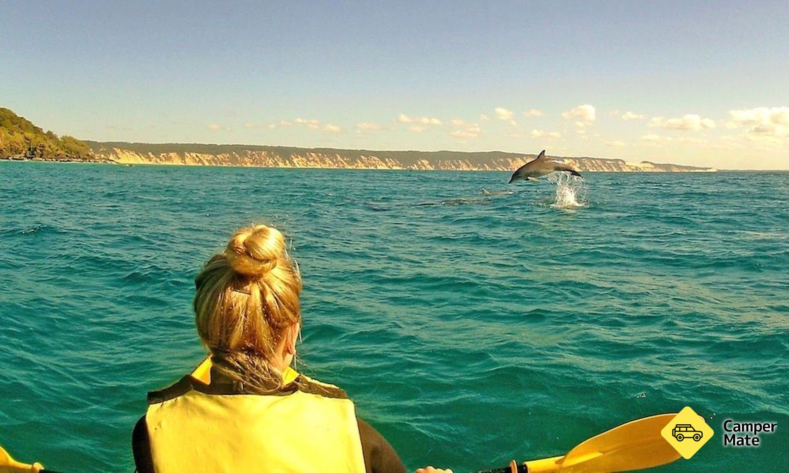 Noosa Dolphin Kayak