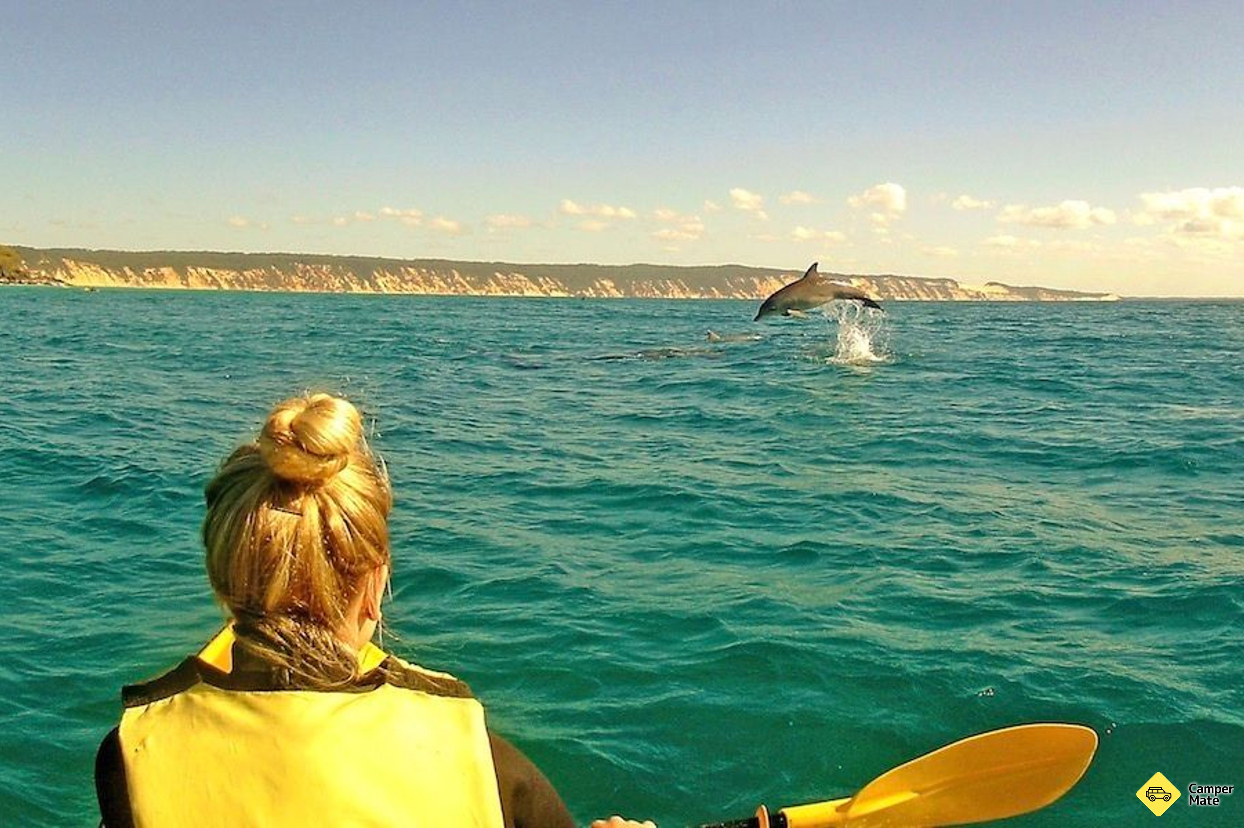 Læs mere om Noosa Dolphin View Kayak Tour - Image 3