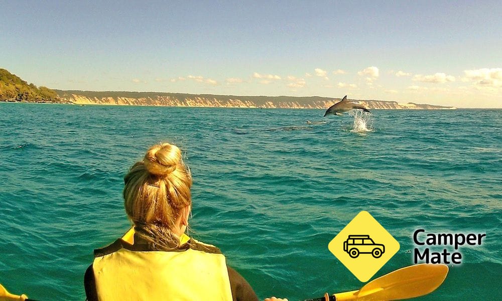 Noosa Dolphin View Kayak Tour - Image 3
