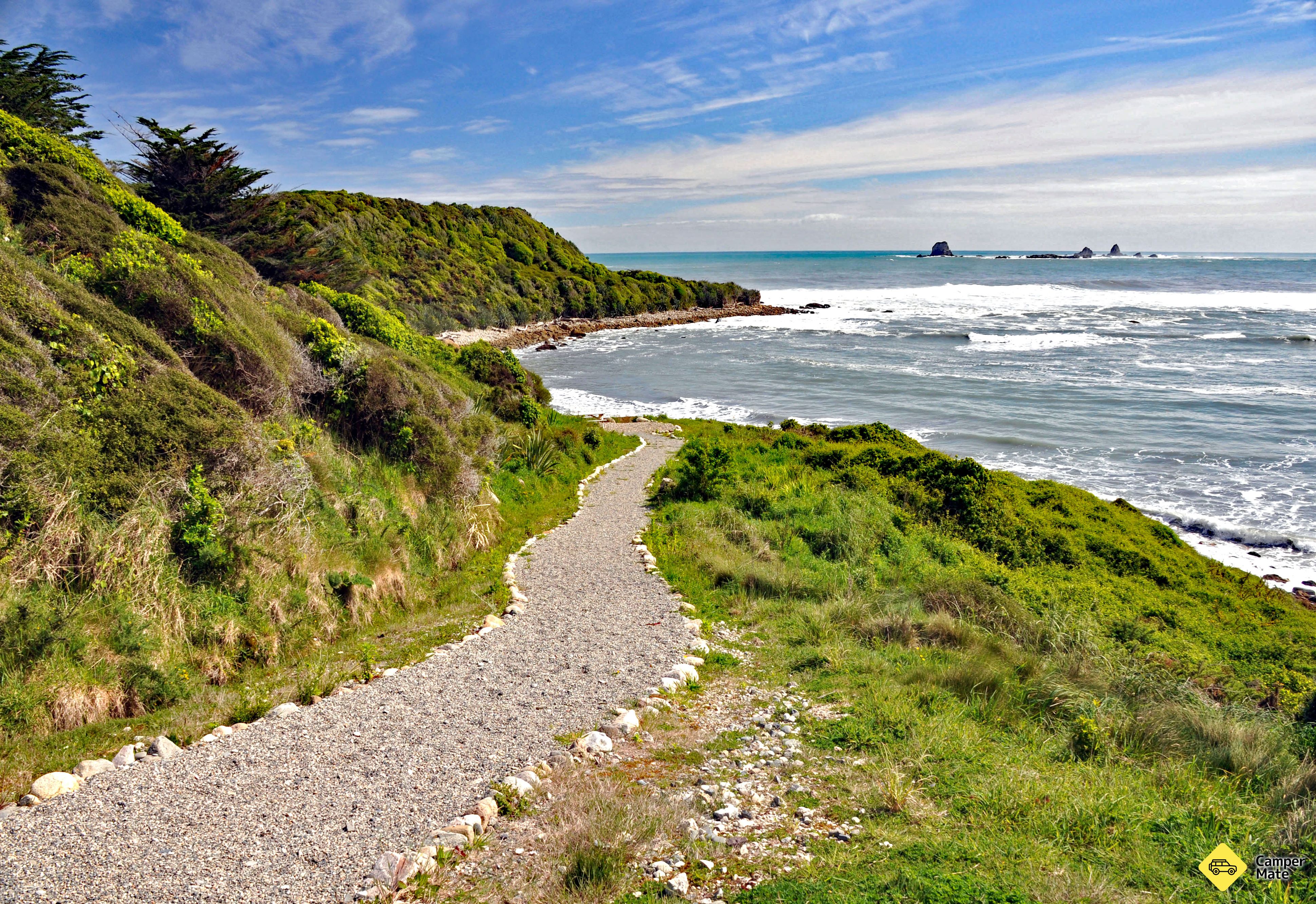 La colonie de Tauranga Bay Seal - Image 2