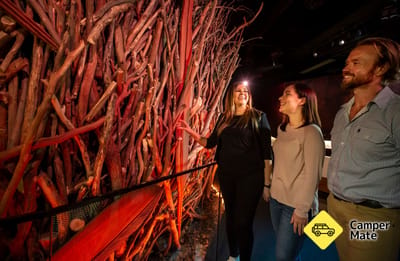 Melbourne Museum - Bunjilaka Aboriginal Cultural Centre