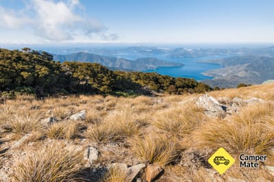 Mt Stokes Track
