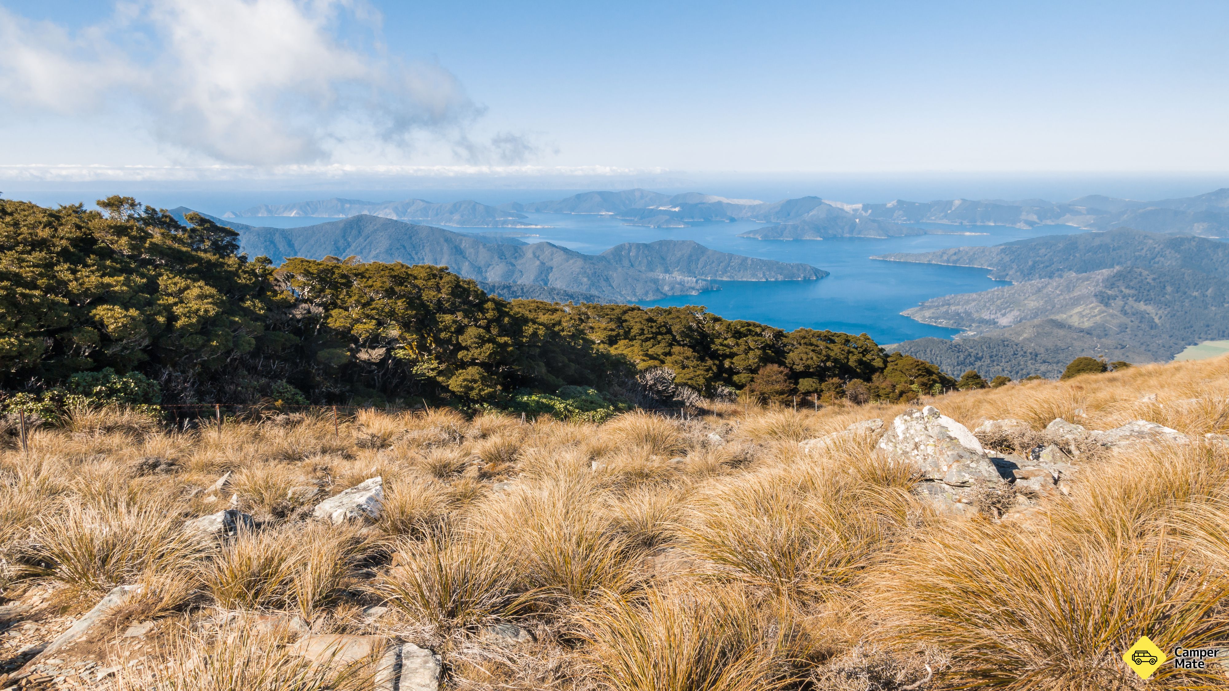 Mt Stokes Track