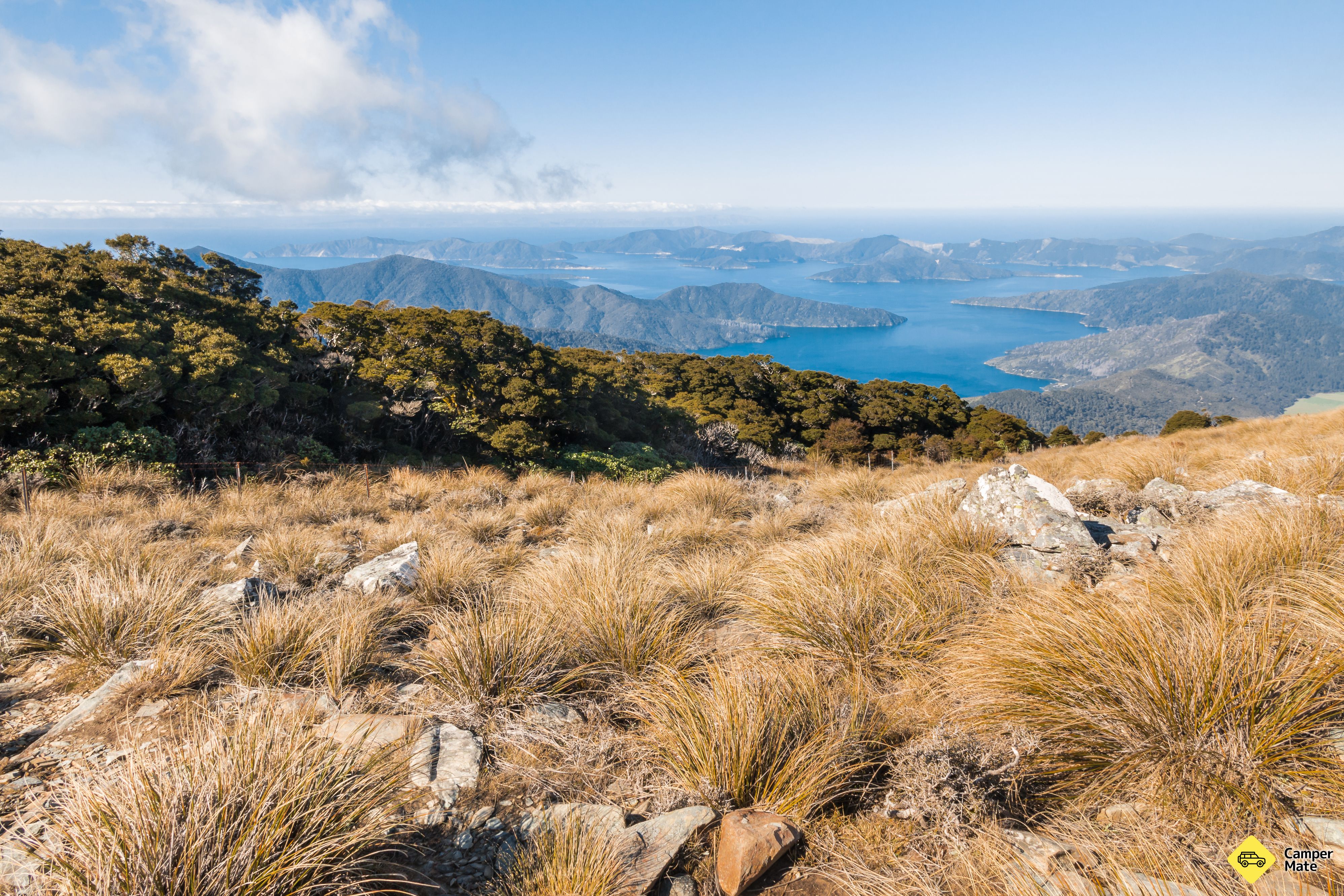 Mt Stokes Track