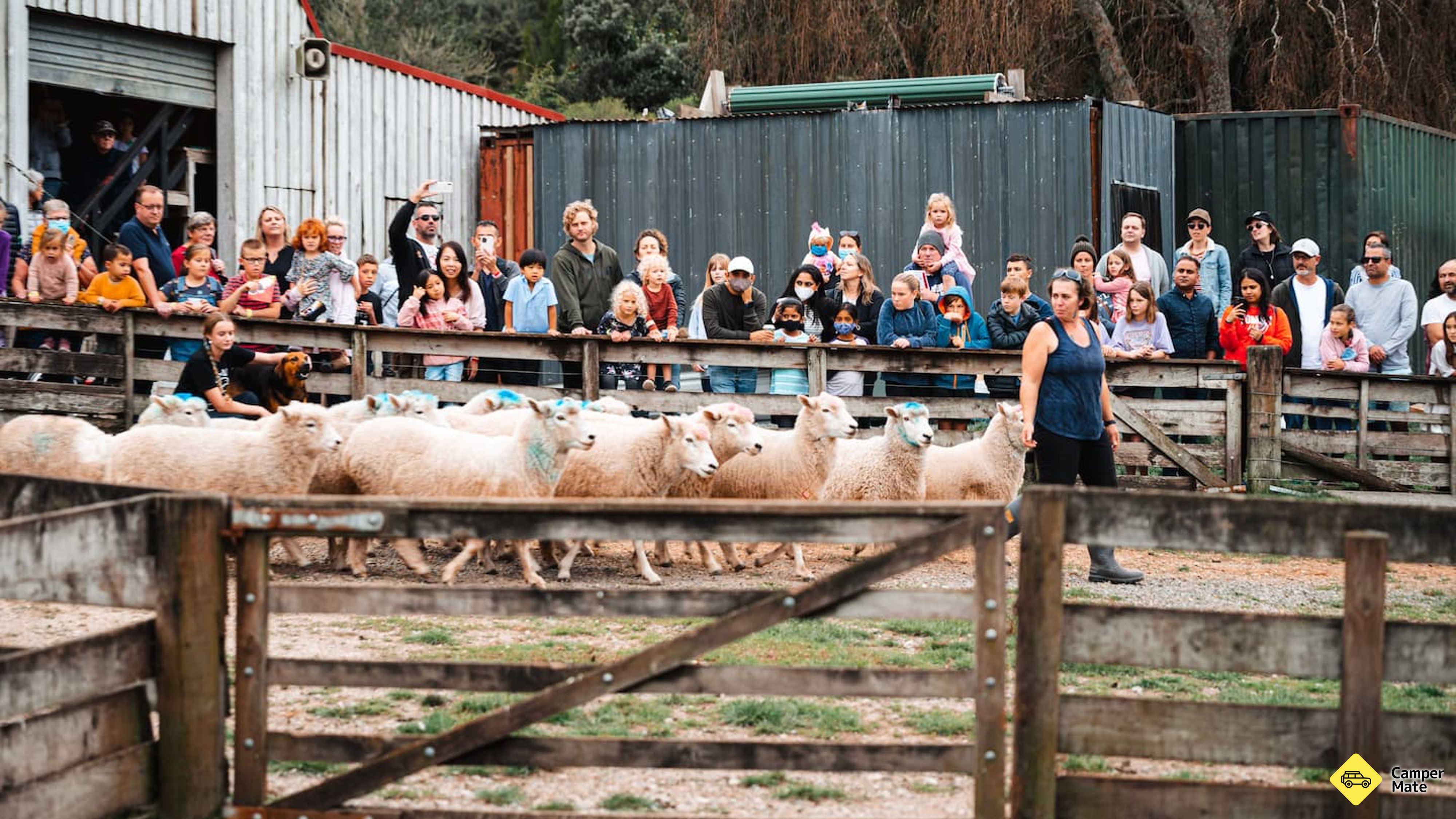 Sheepworld Farm Park