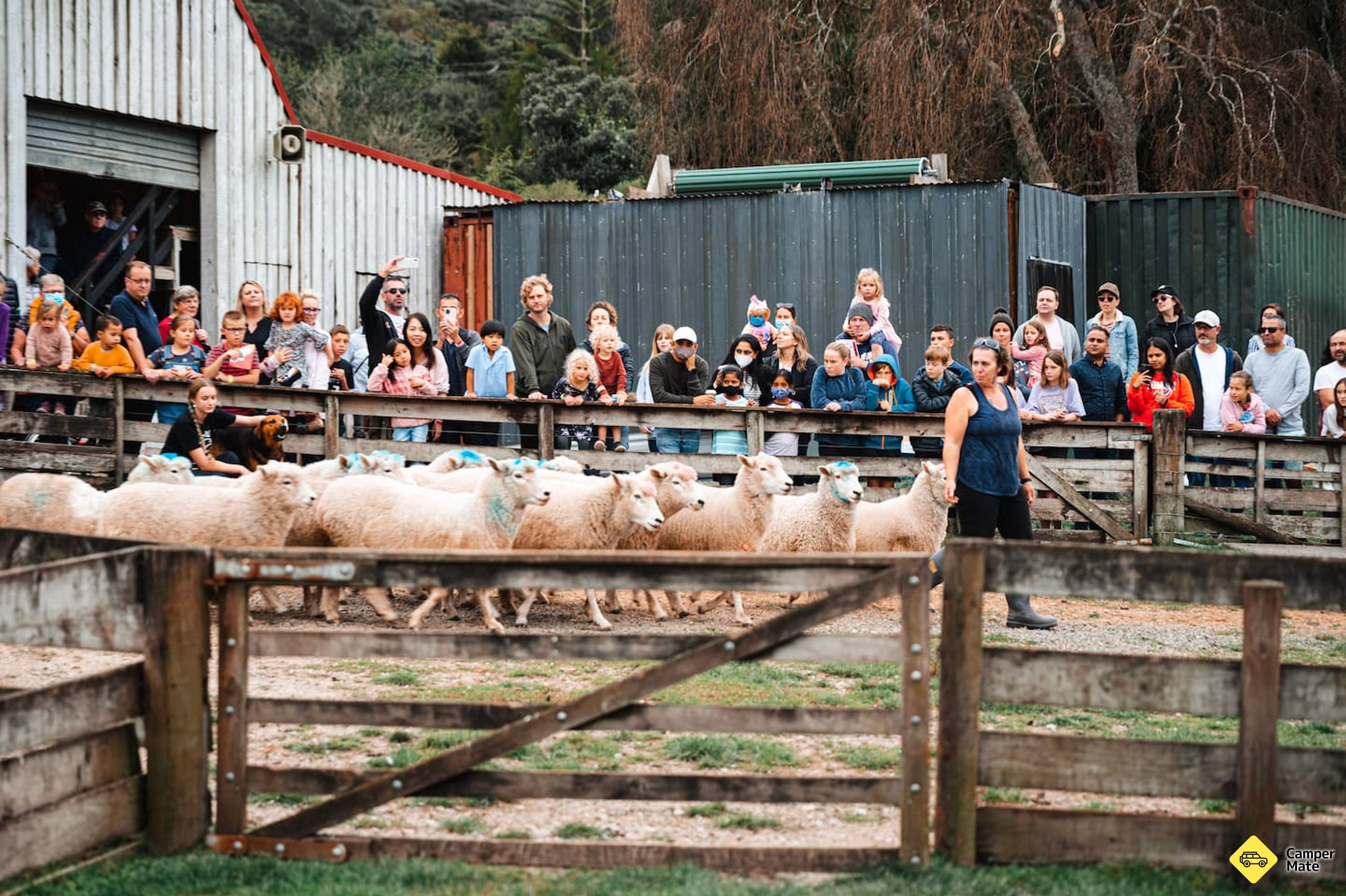 Sheepworld Farm Park