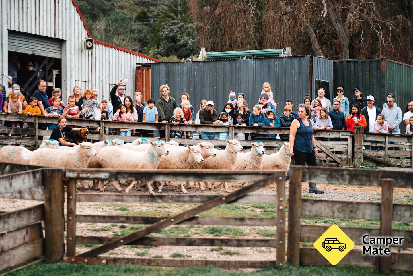 Sheepworld Farm Park