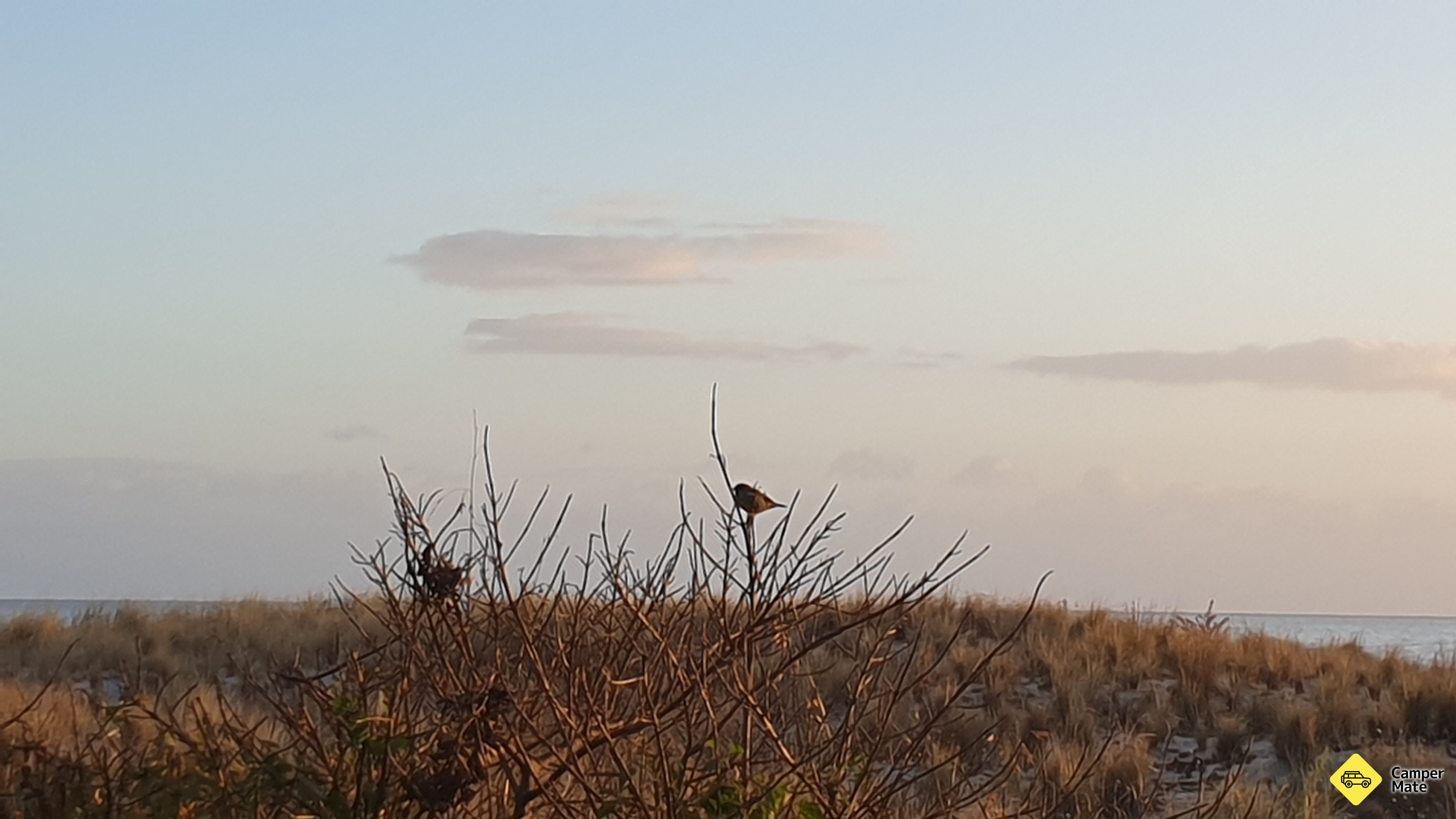 Pikowai Camping Ground - Image 3