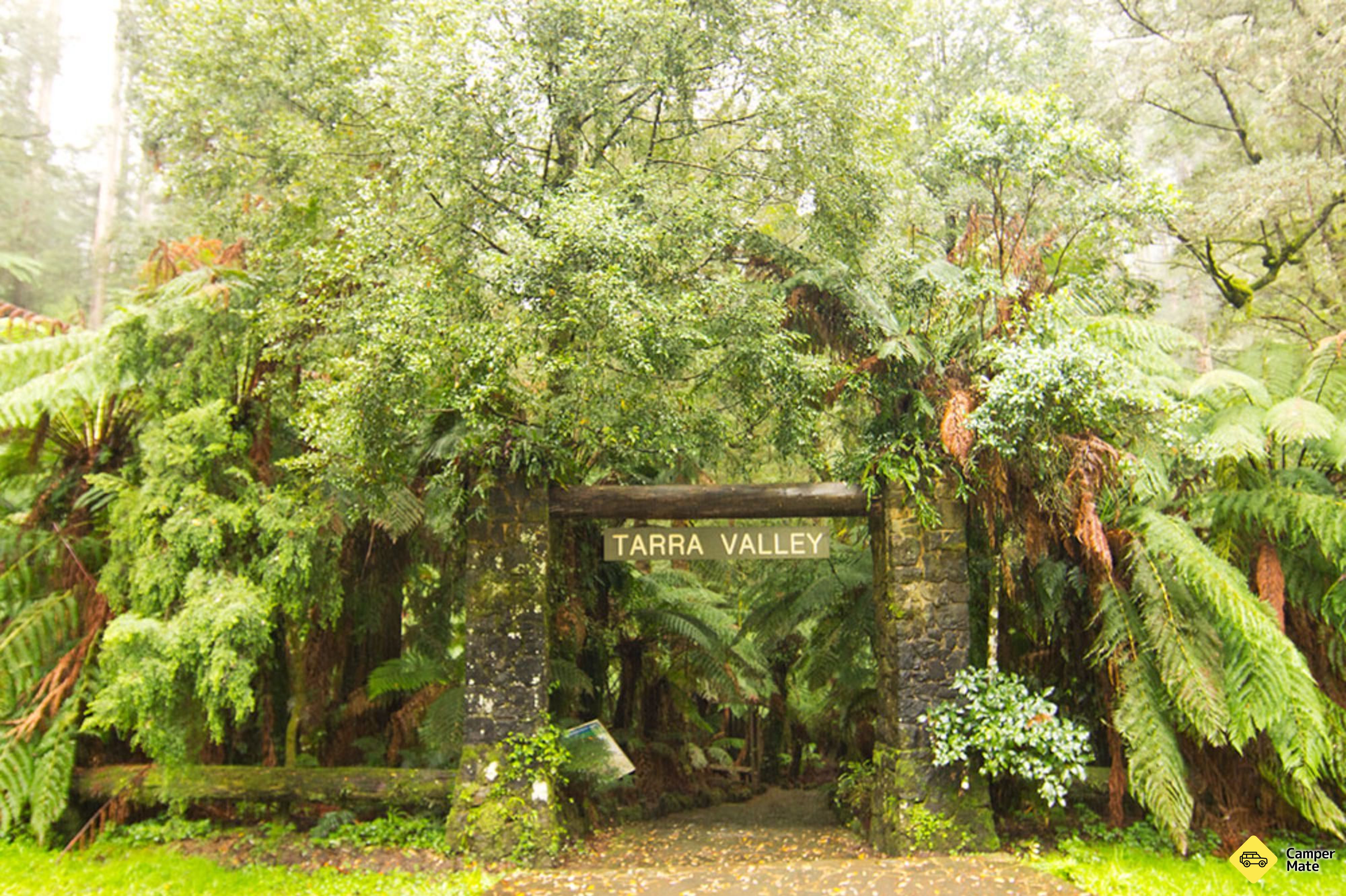 Tarra Valley Αναχώρηση - Image 2