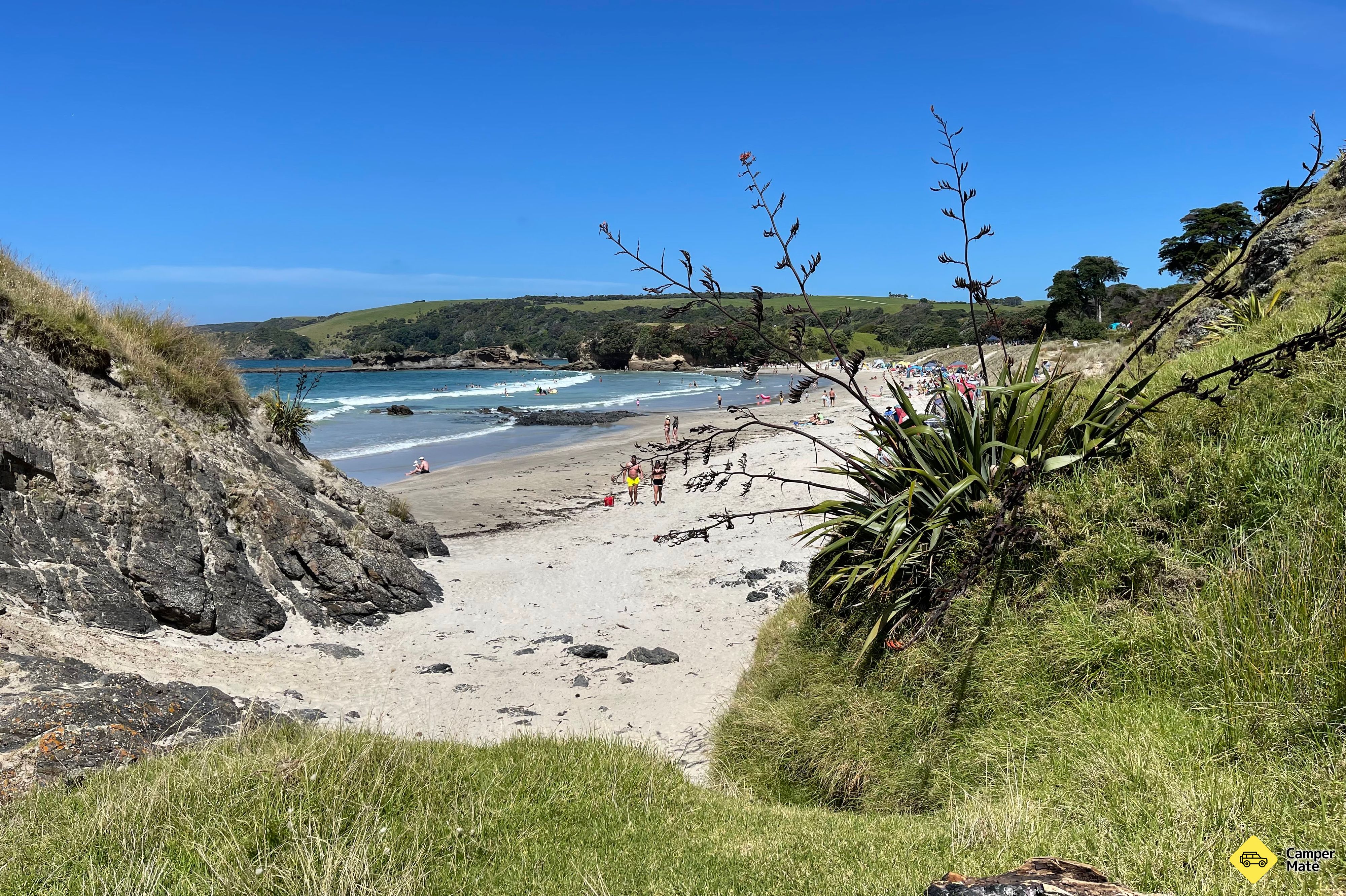 Tawharanui Campground - Image 3