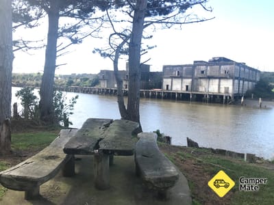 York Street Picnic Area