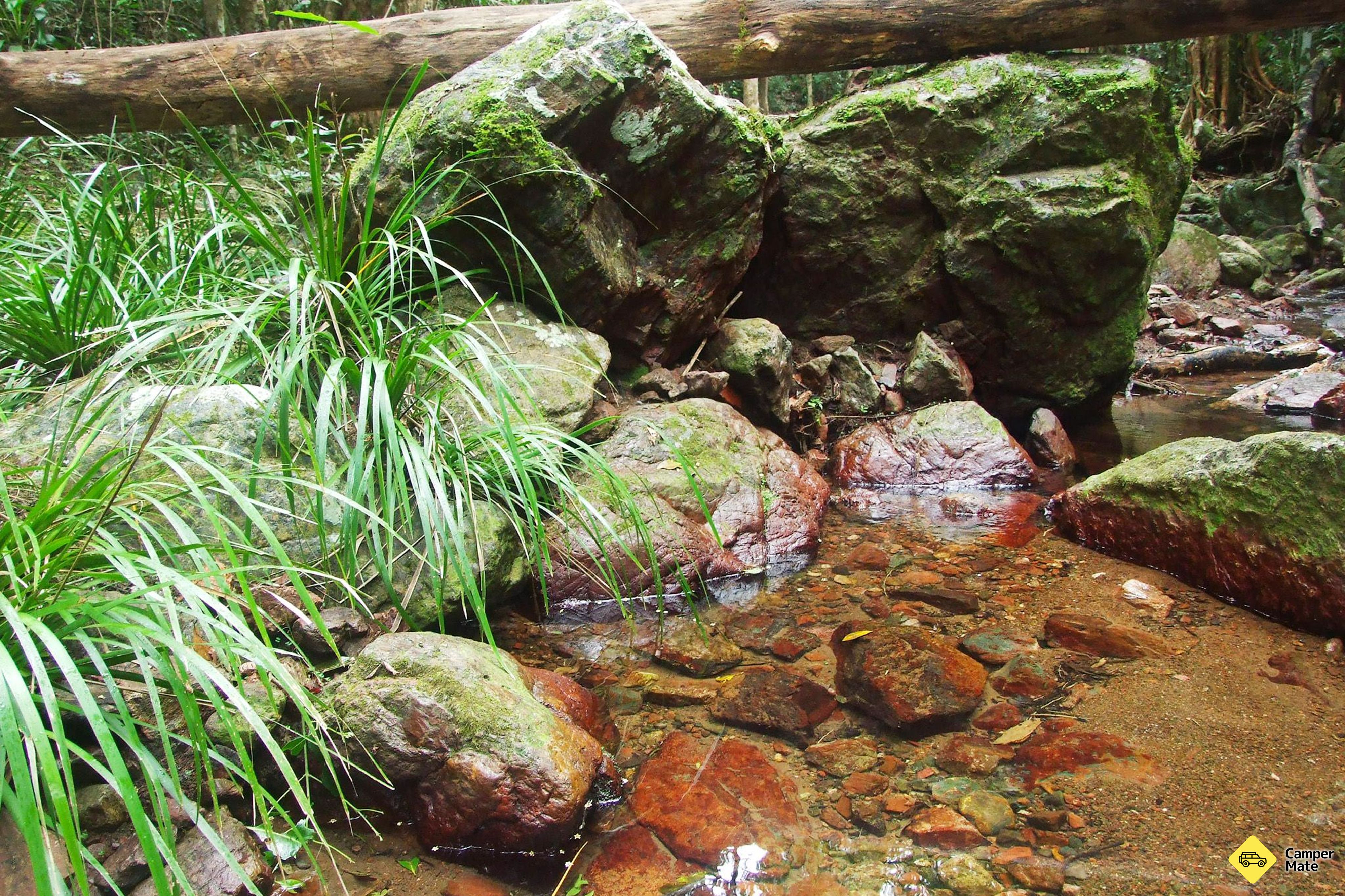 Amamoor Creek แคมป์ - Image 2