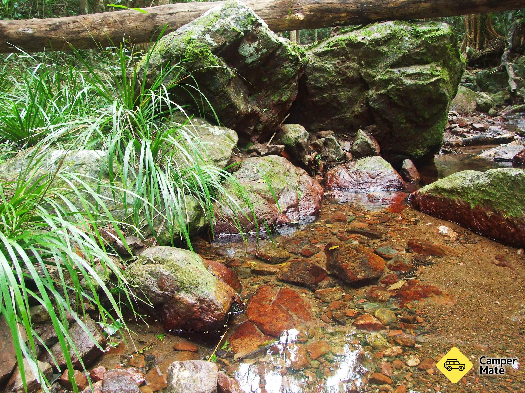 アマモア・クリックキャンプ場 Amamoor Creek Campground - Image 2