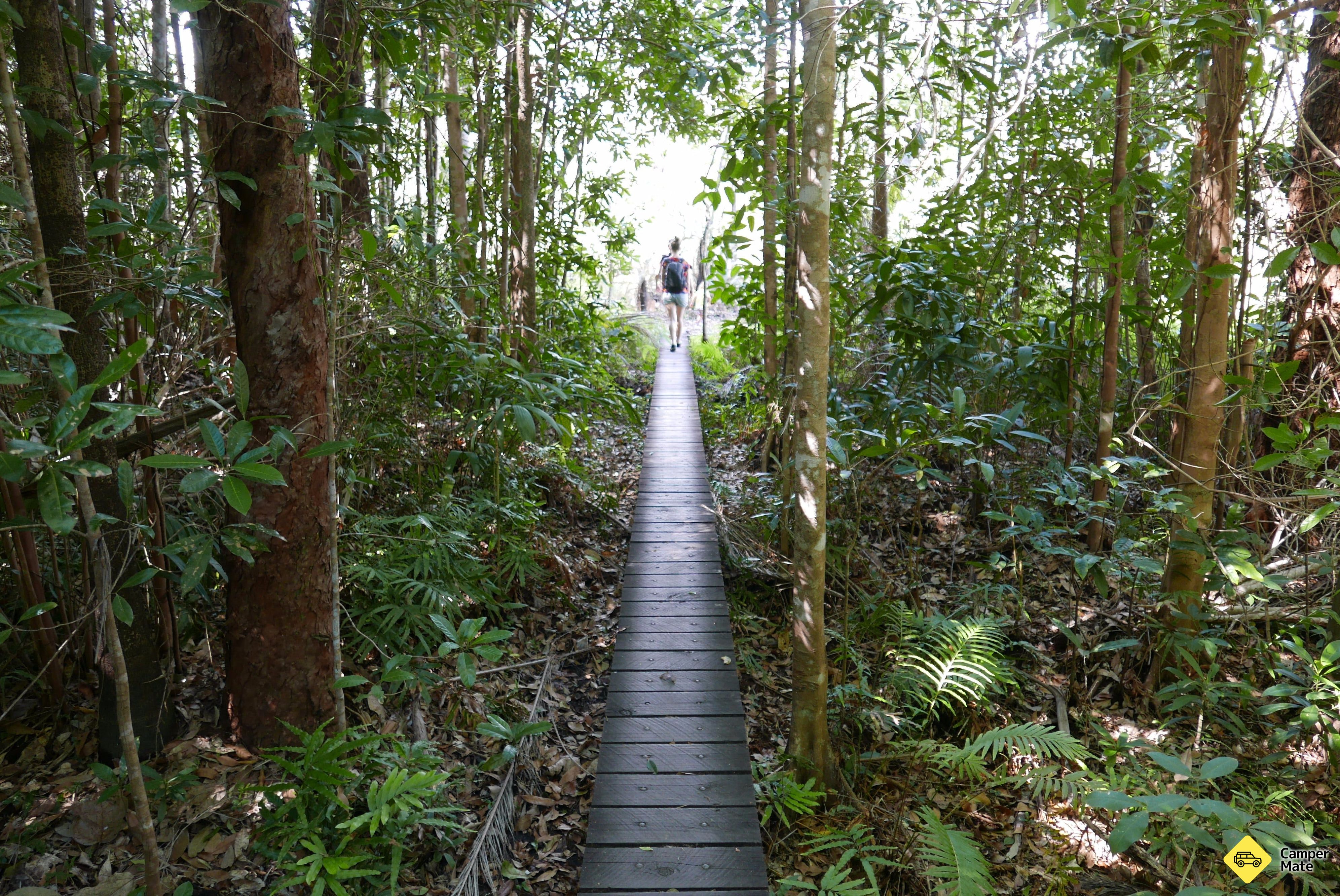 Walker Creek - Image 2