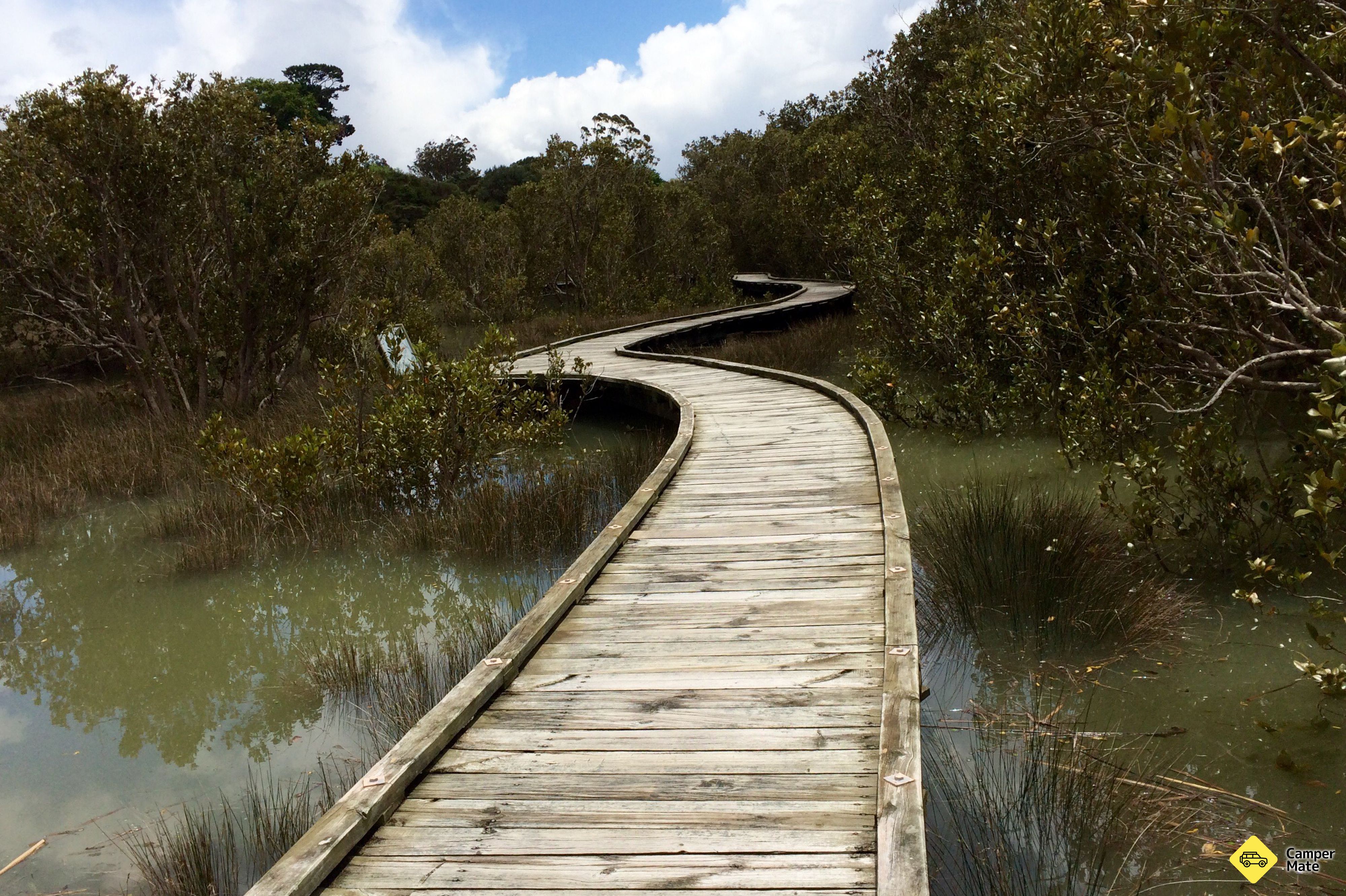 Rawene Mangrove Boardwalk - Image 3