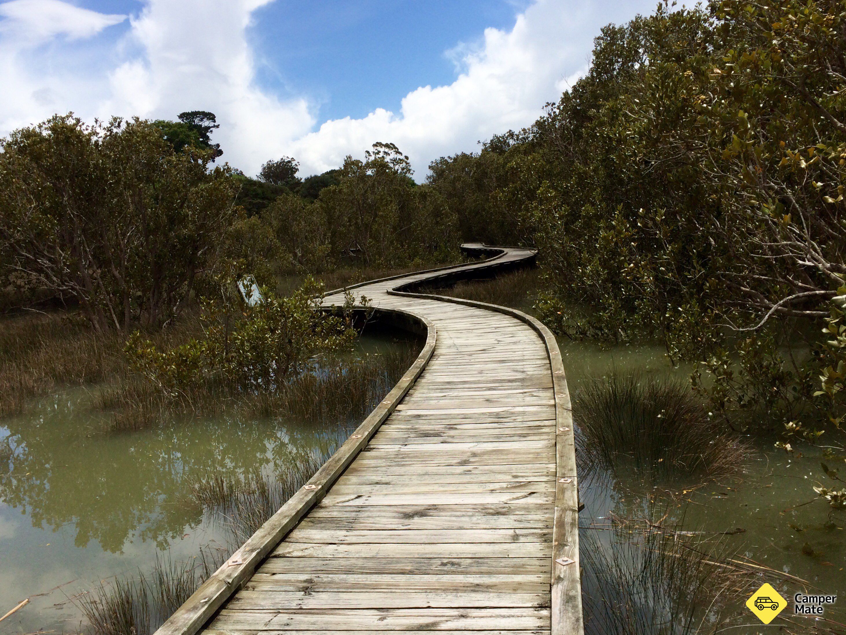 Rawene Mangrove Boardwalk - Image 3