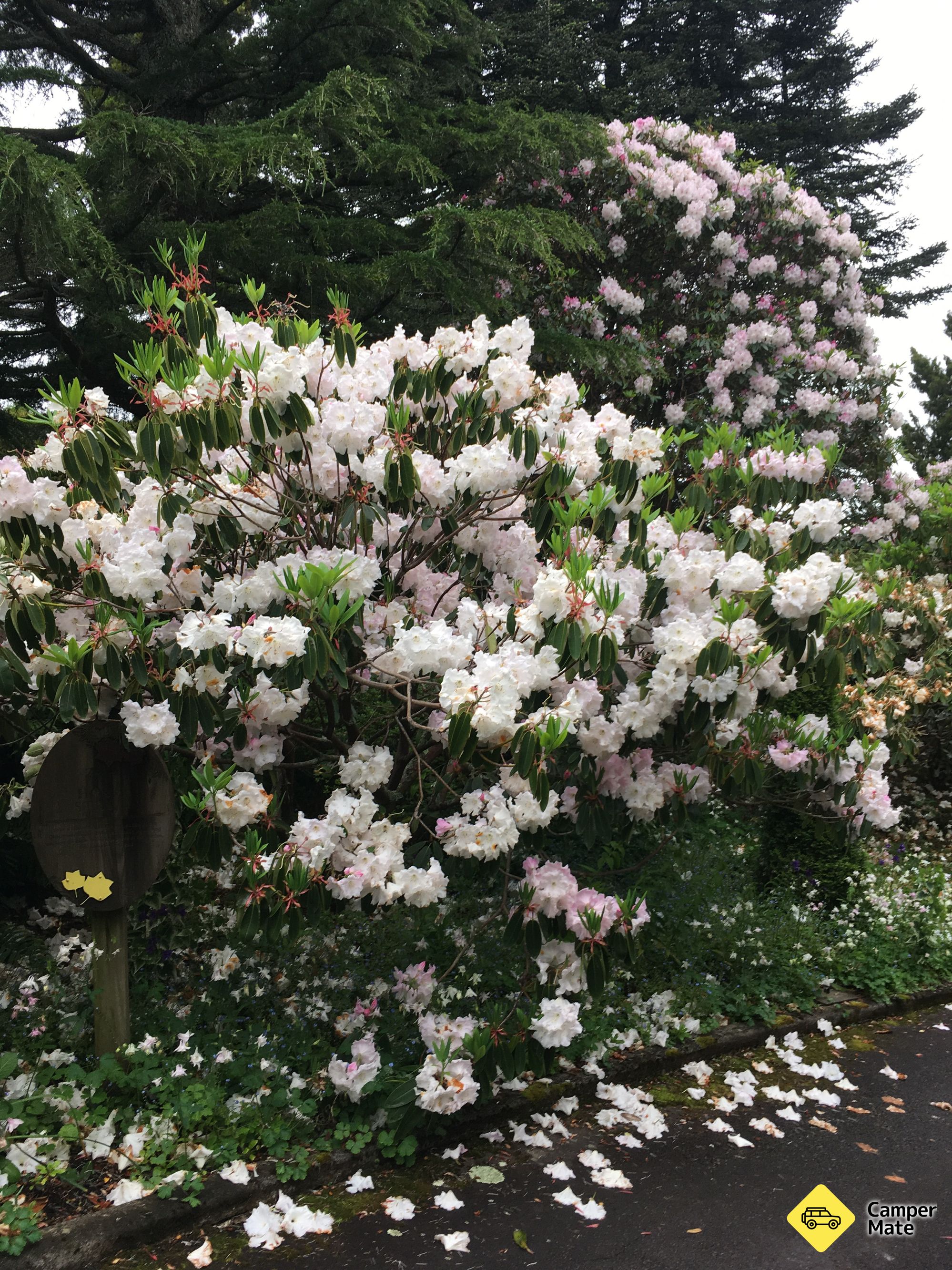 Tupare Garden - Image 2