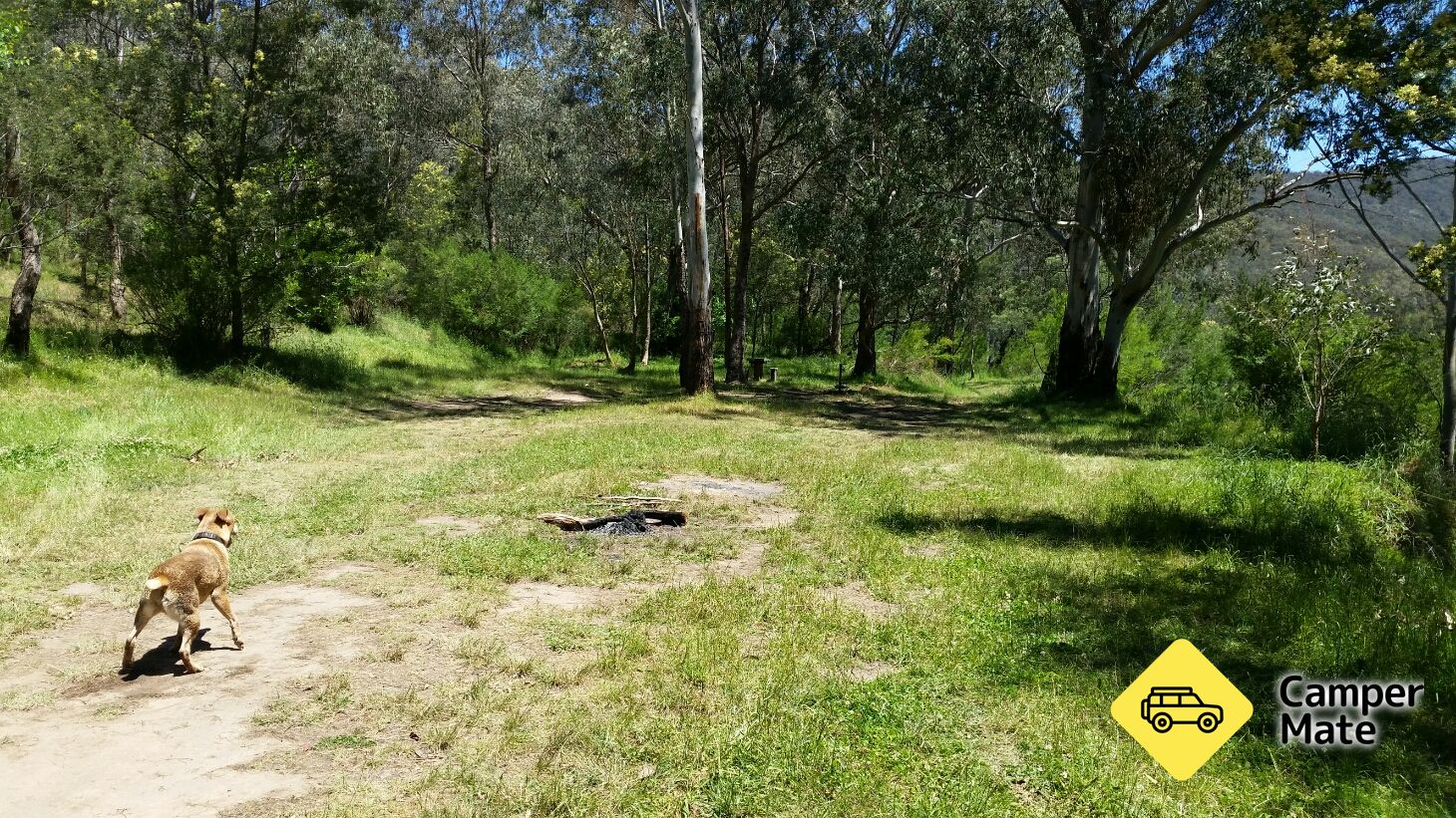 Meyers Flat Campsite
