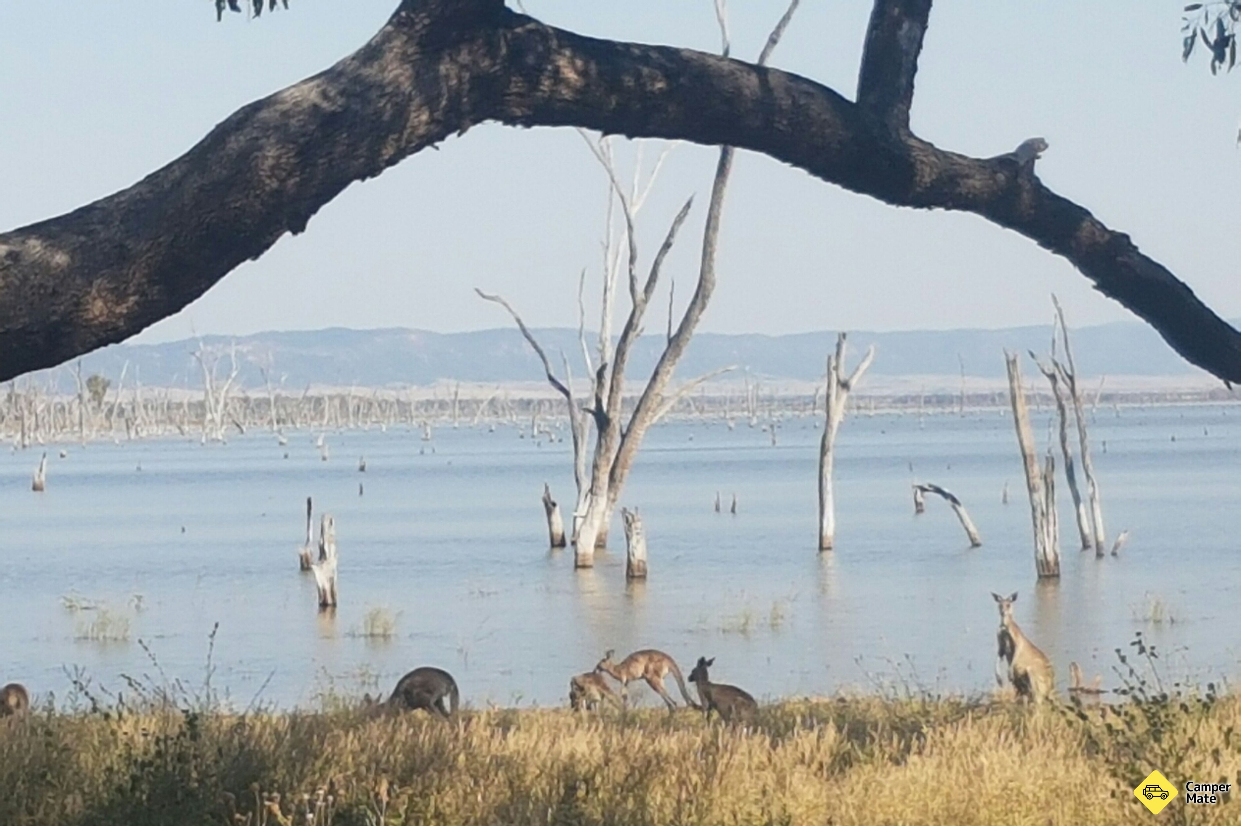 Lake Nuga Nuga - Image 2