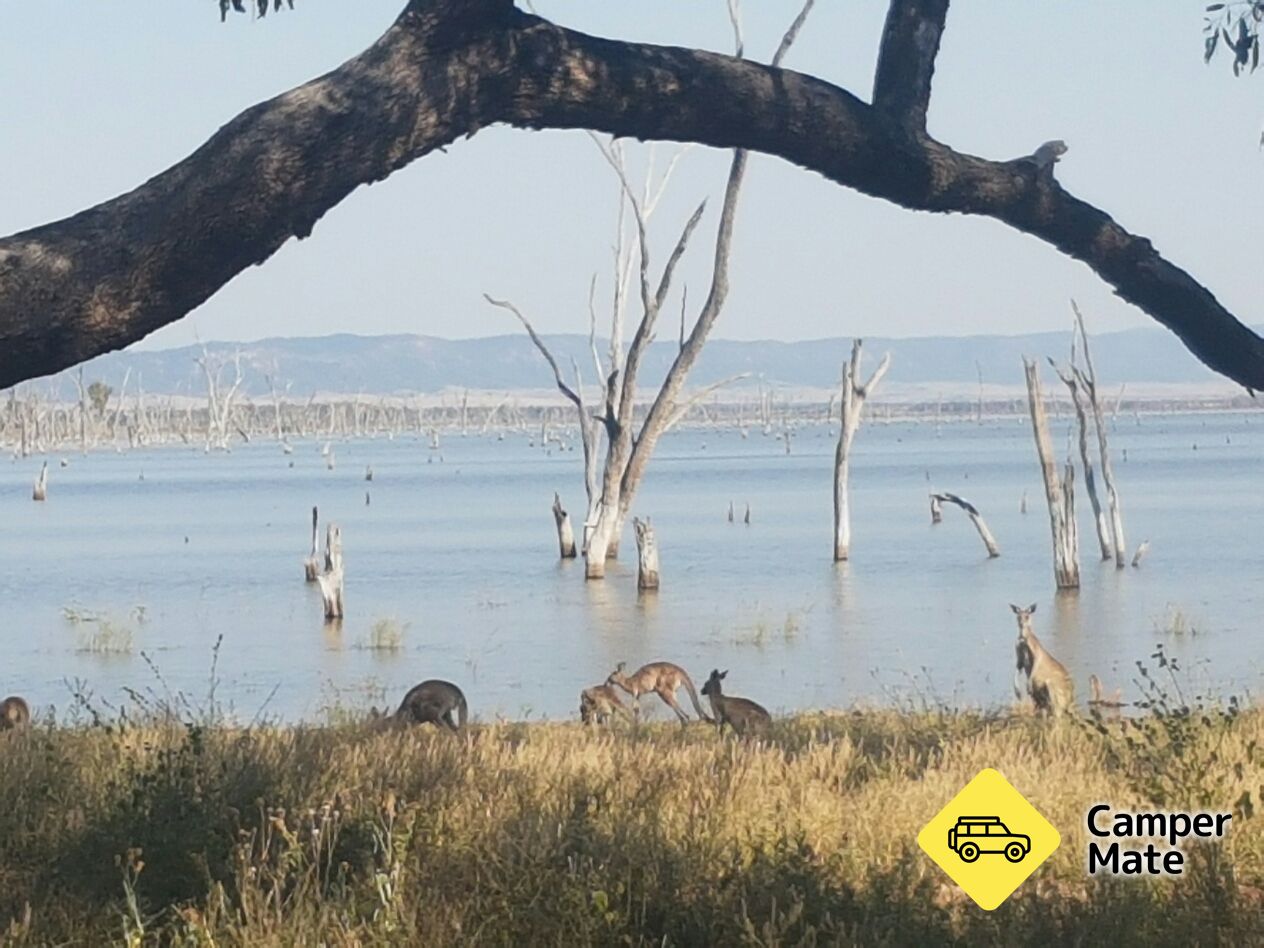 Lake Nuga Nuga - Image 2
