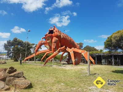 الكومبيوتر Big Lobster