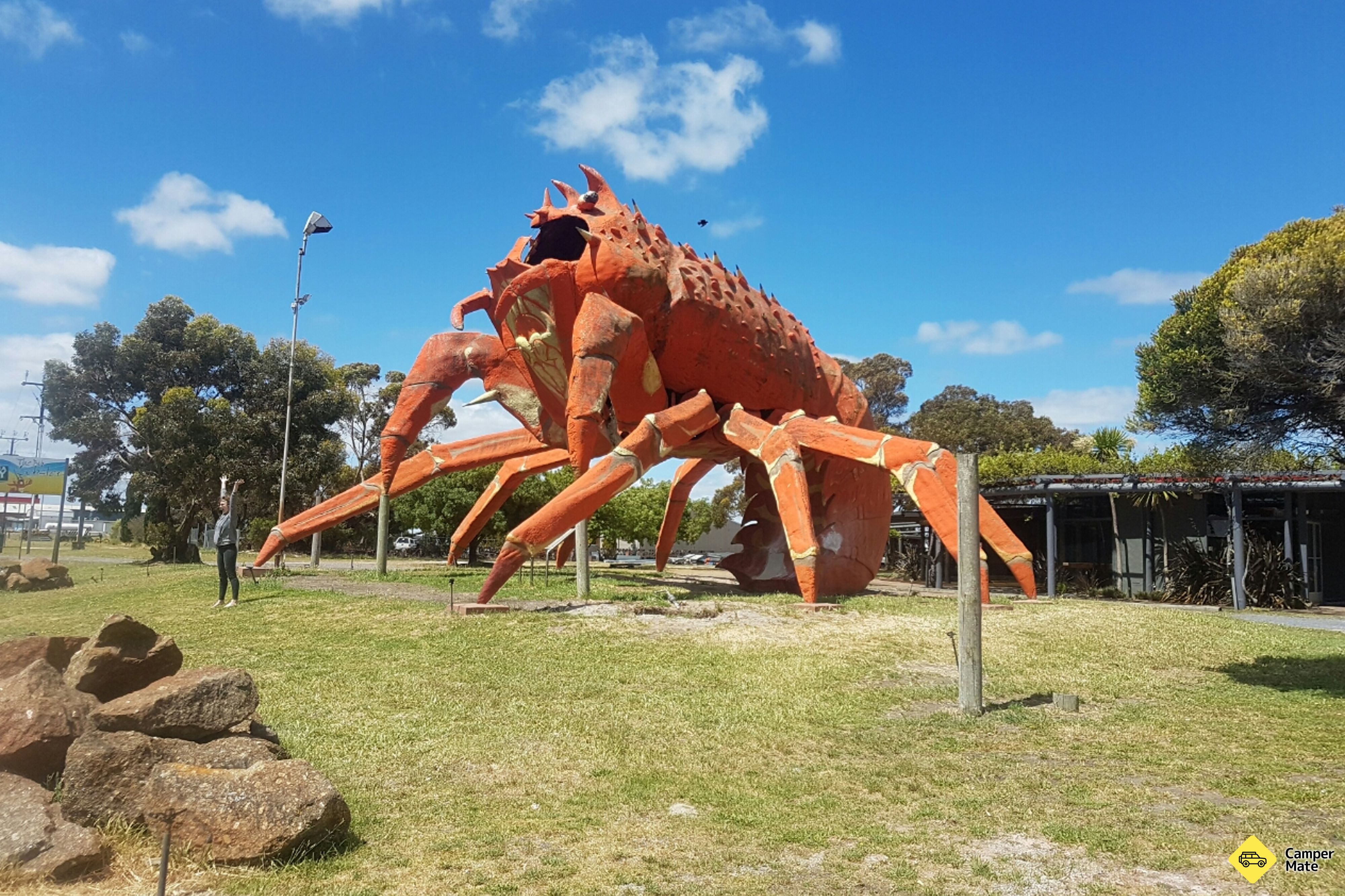 الكومبيوتر Big Lobster