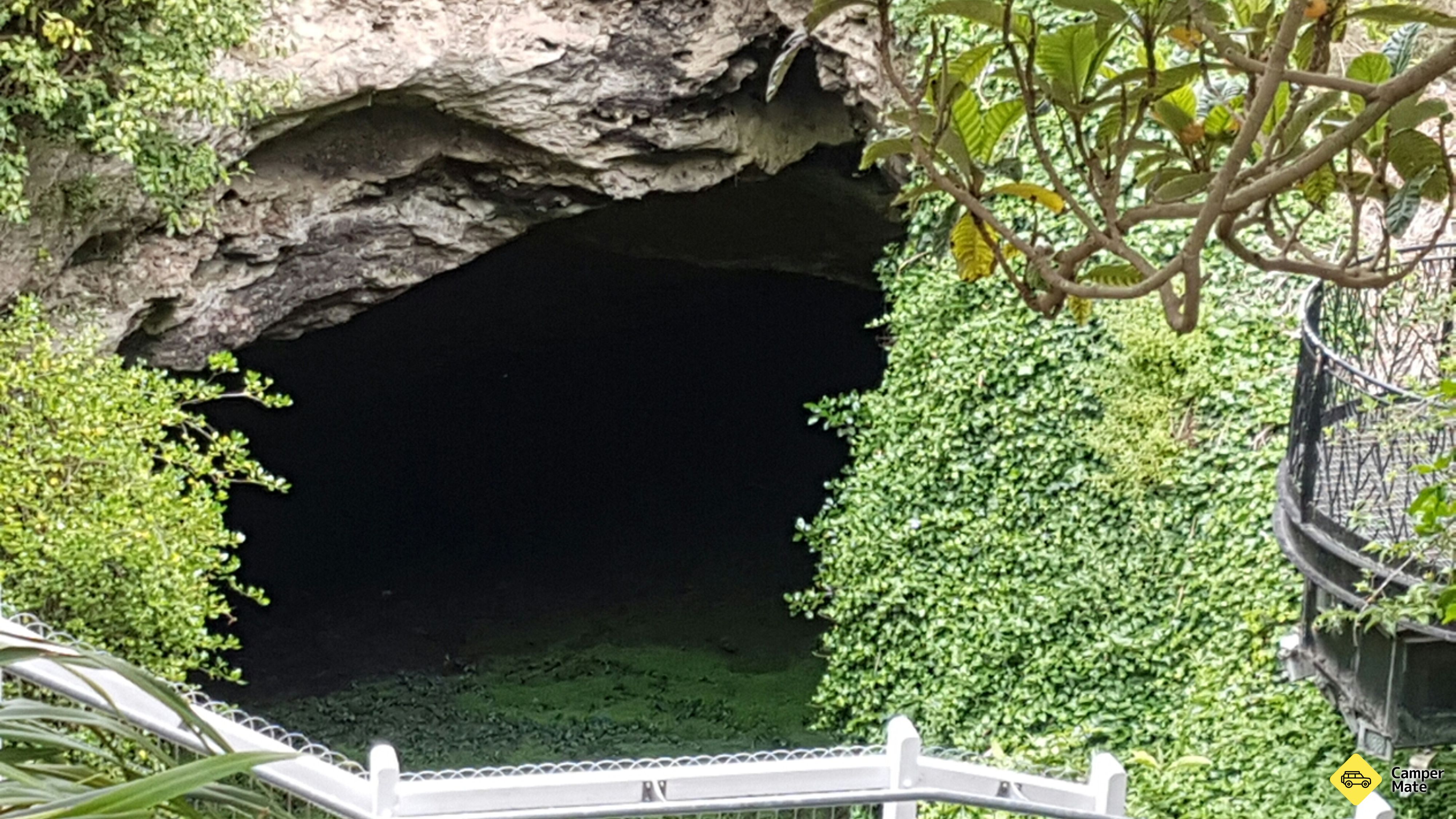 Mount Gambier Cave Gardens og omegn
