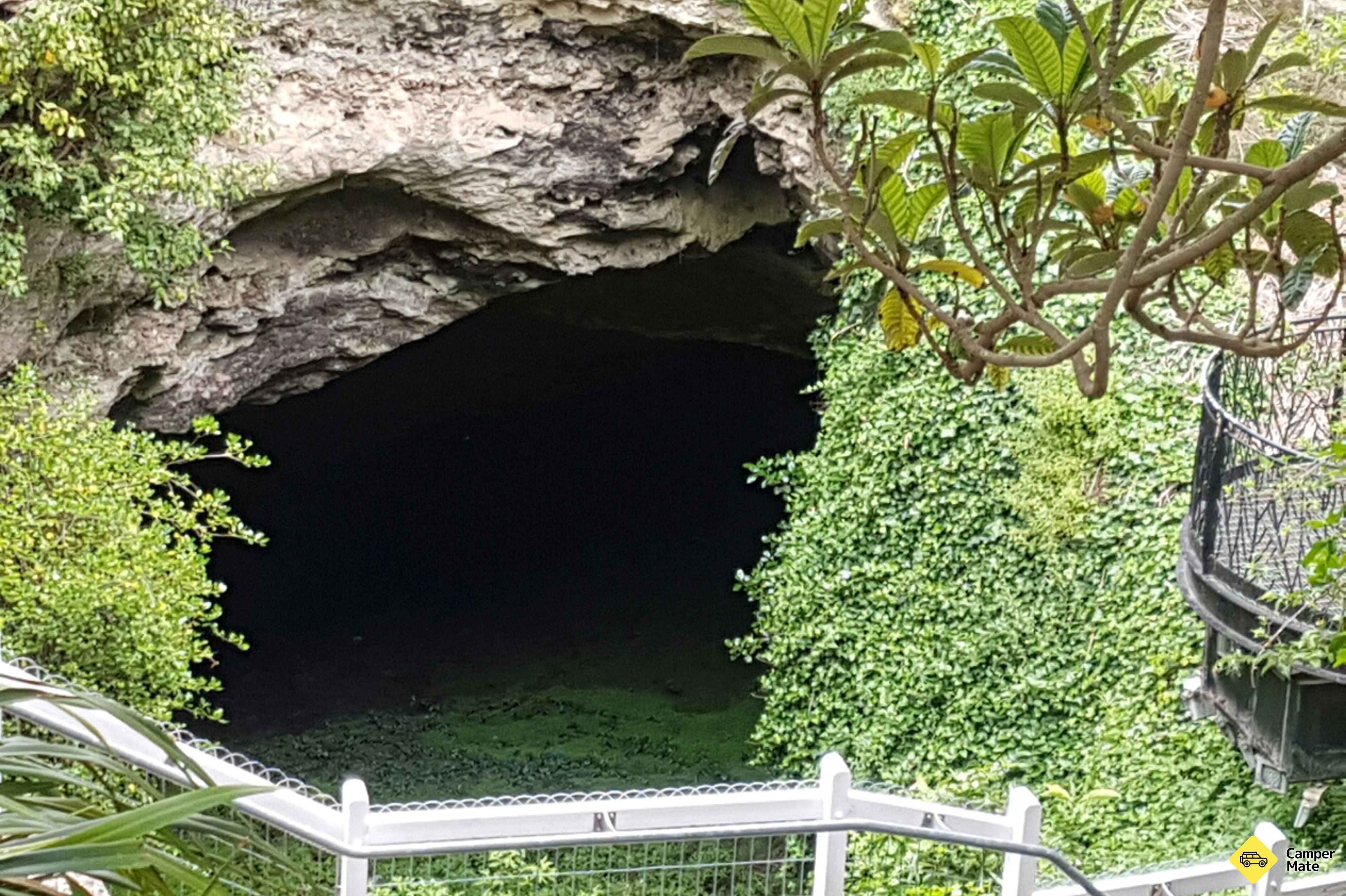 Mount Gambier Cave Gardens og omegn