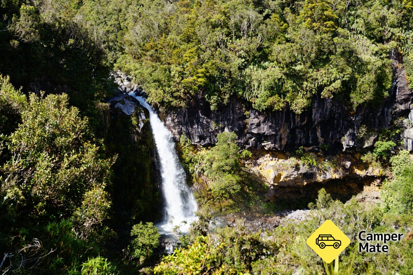 Dawson Waterfalls - Image 2