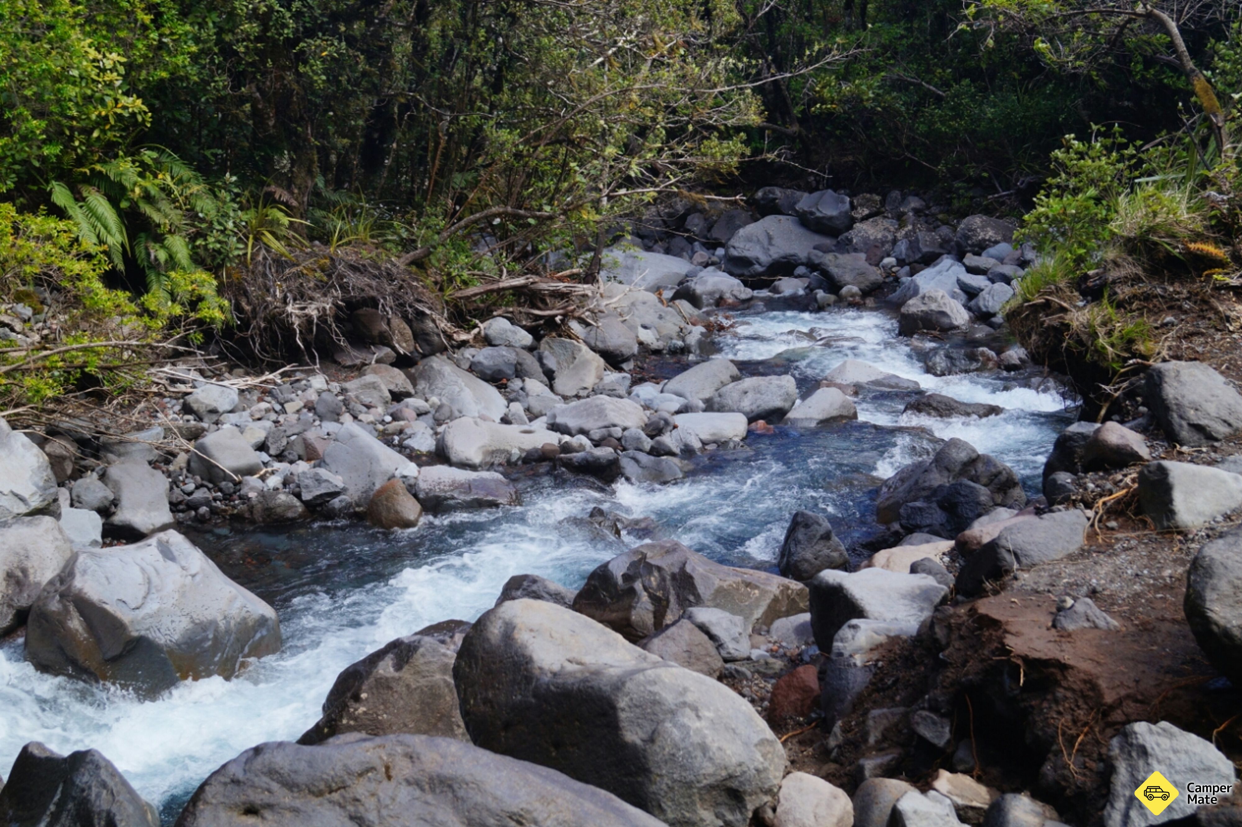 Dawson Waterfalls - Image 3