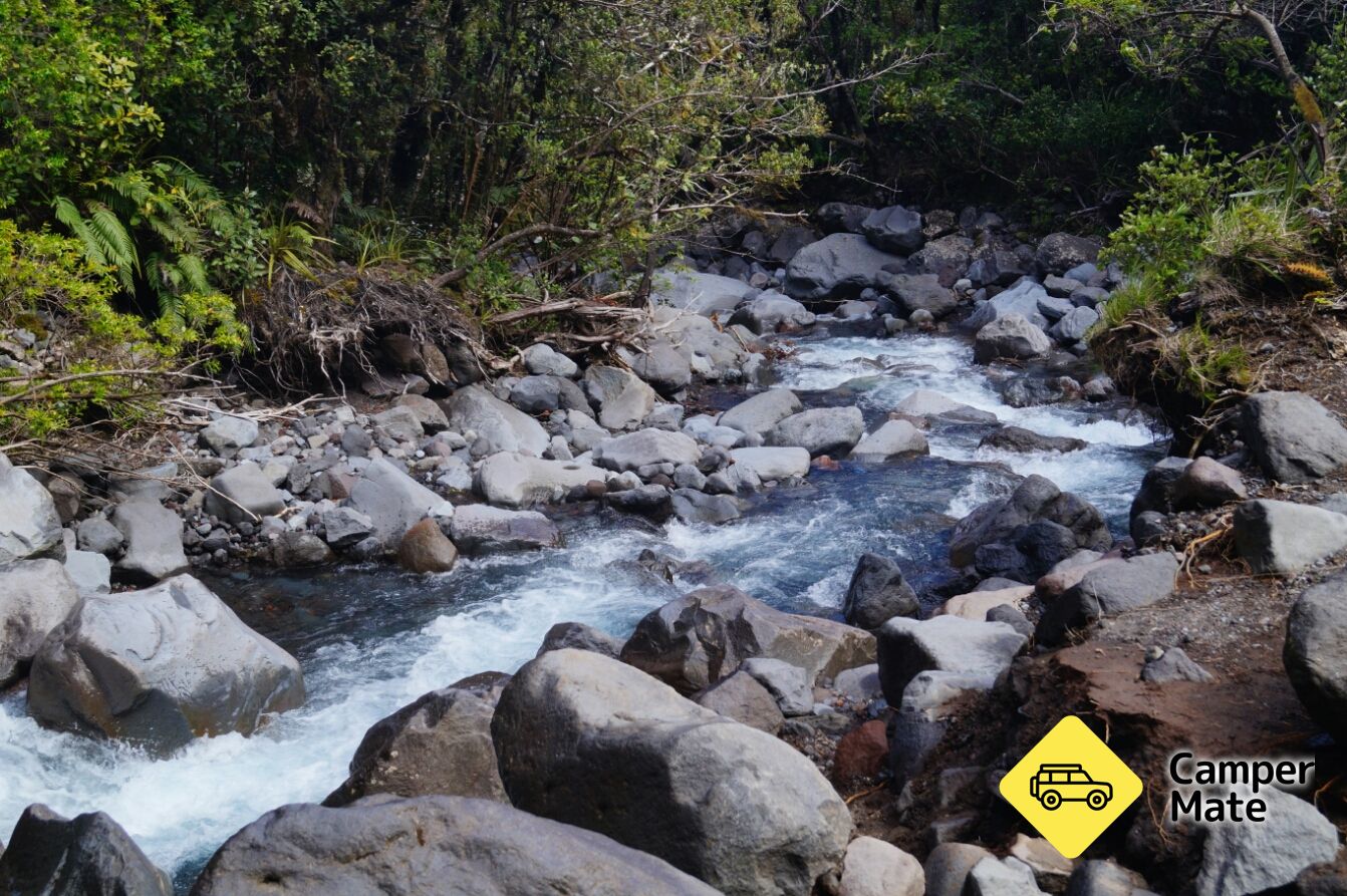 Dawson Waterfalls - Image 3