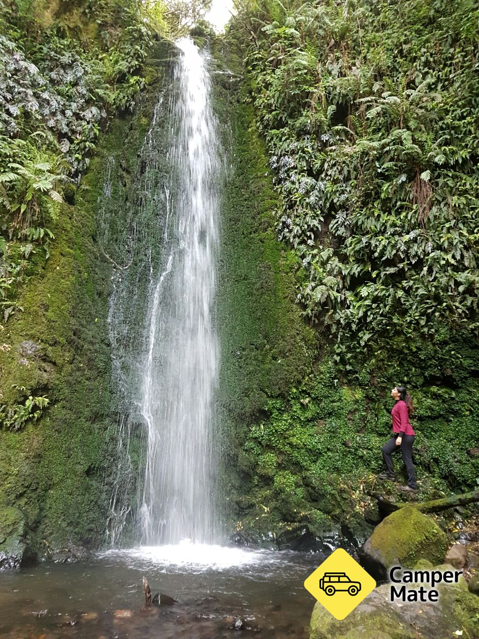 Glow Worm Cave & Waterfall - Image 3