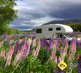 Ahuriri Bridge Campsite