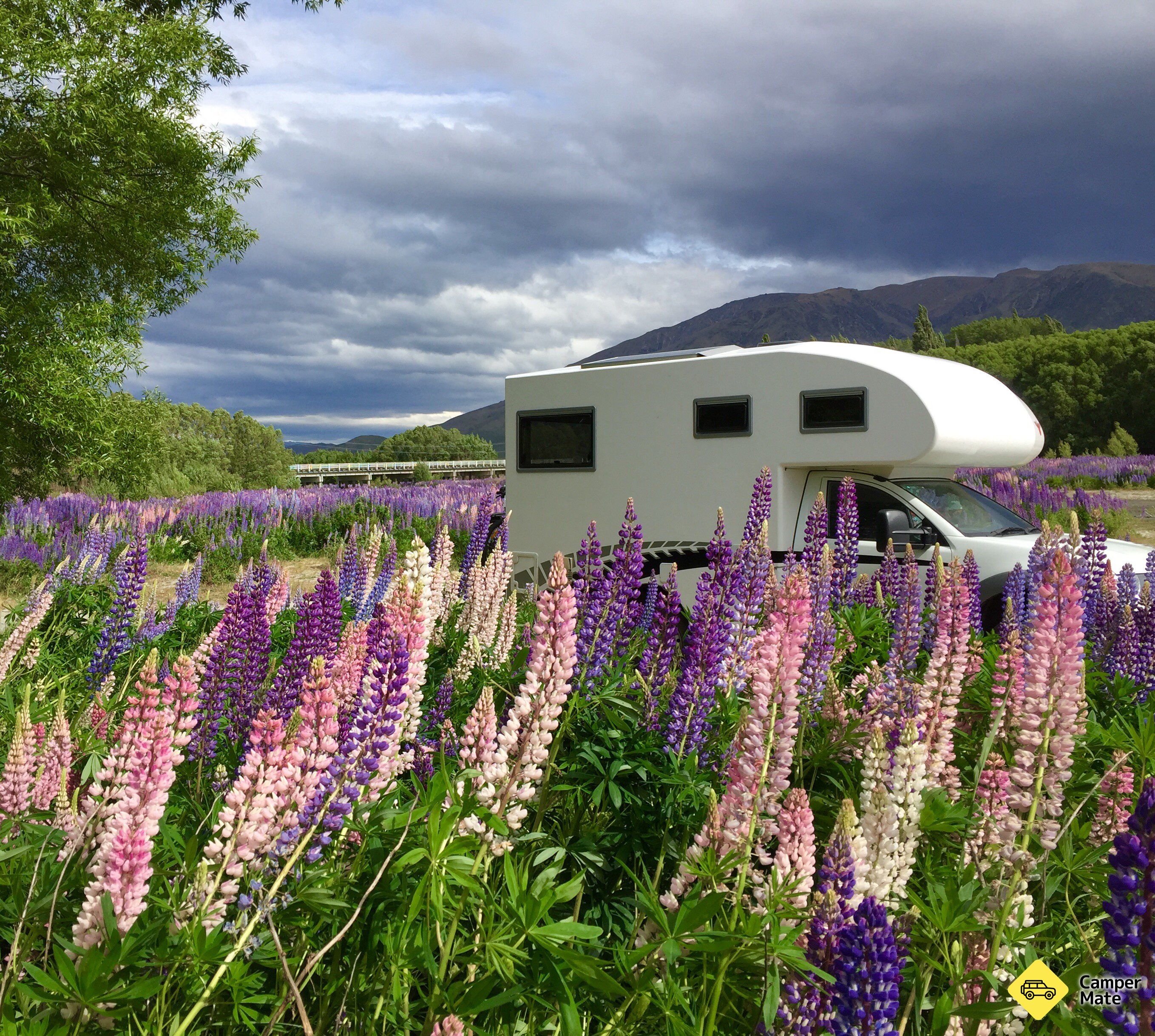 Ahuriri Bridge Campsite