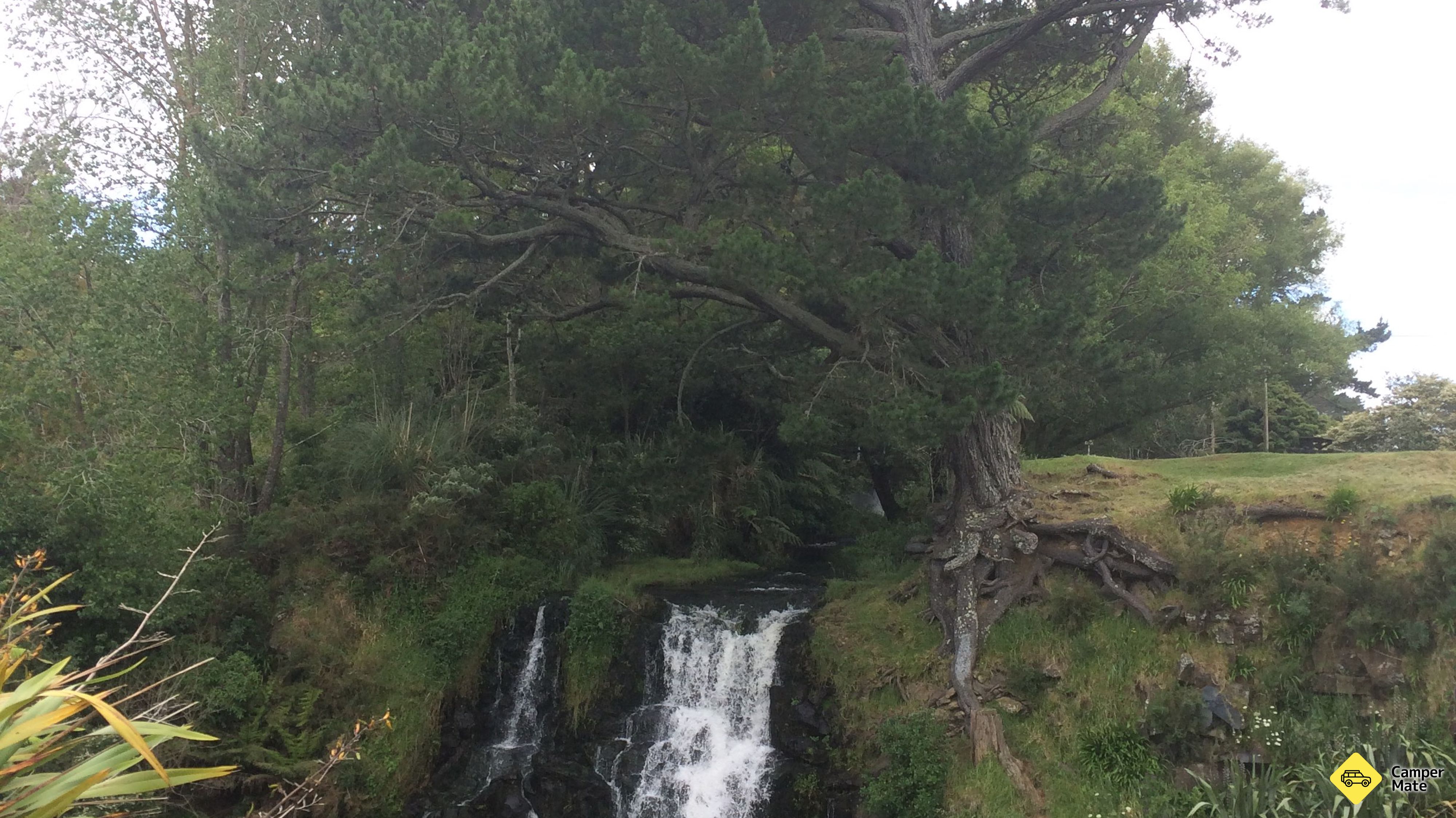 Waitangi Falls 근처 오락거리
