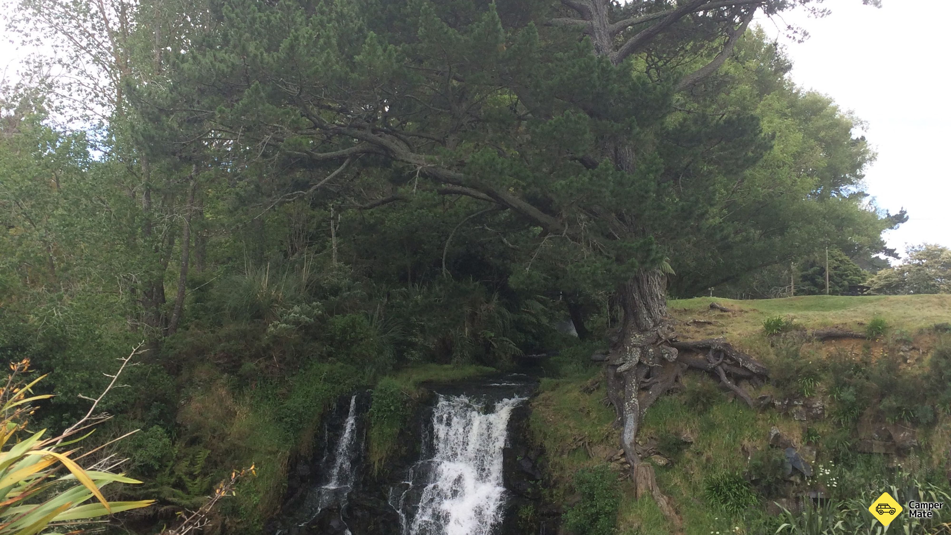 Waitangi Fallsについて