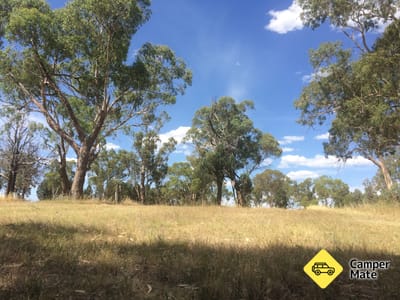 Terramungamine Reserve